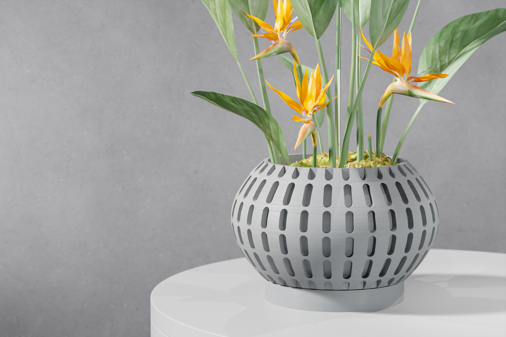 The Xander Planter