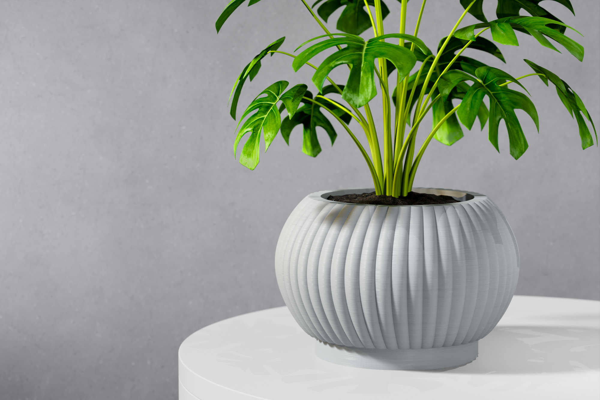 The Roni Planter