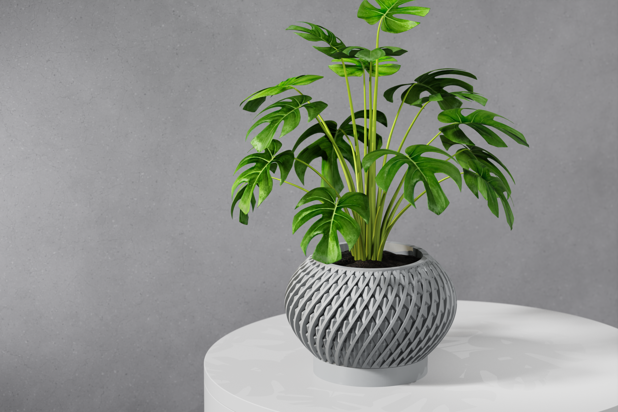 Le Kio Planter