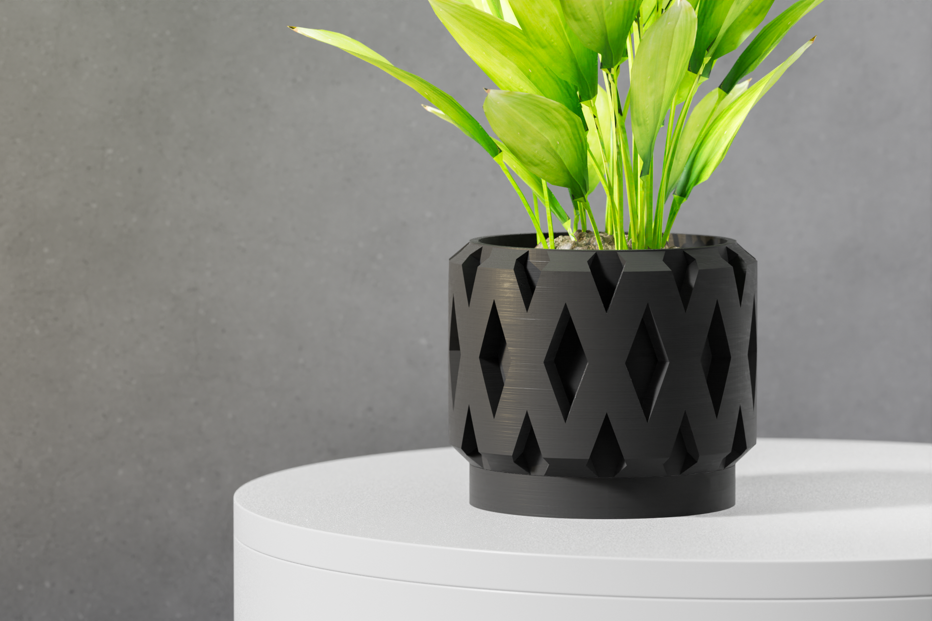 Le Rano Planter