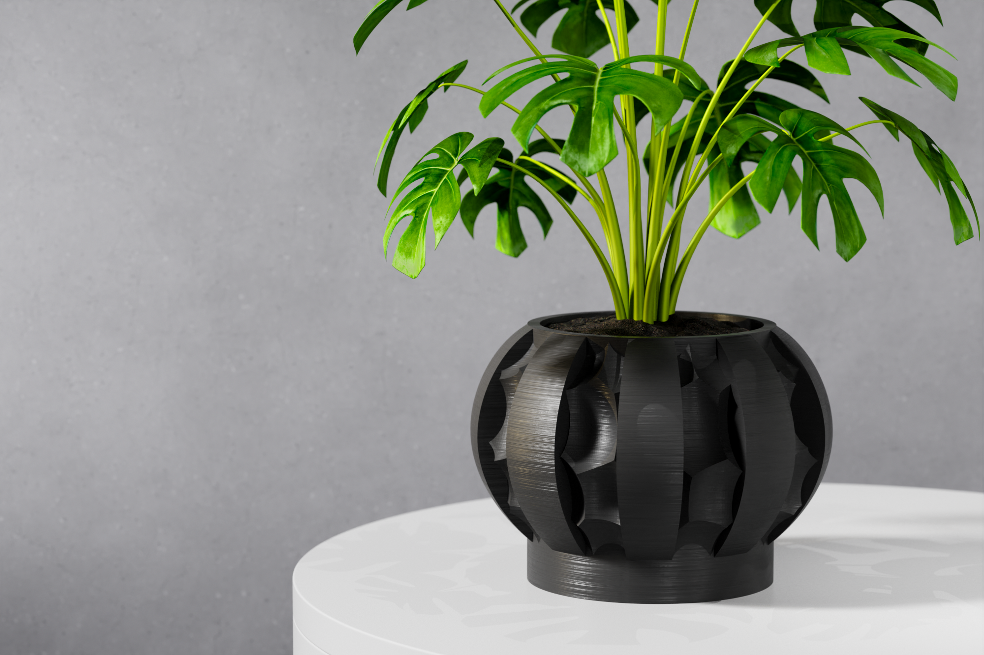 The Erna Planter