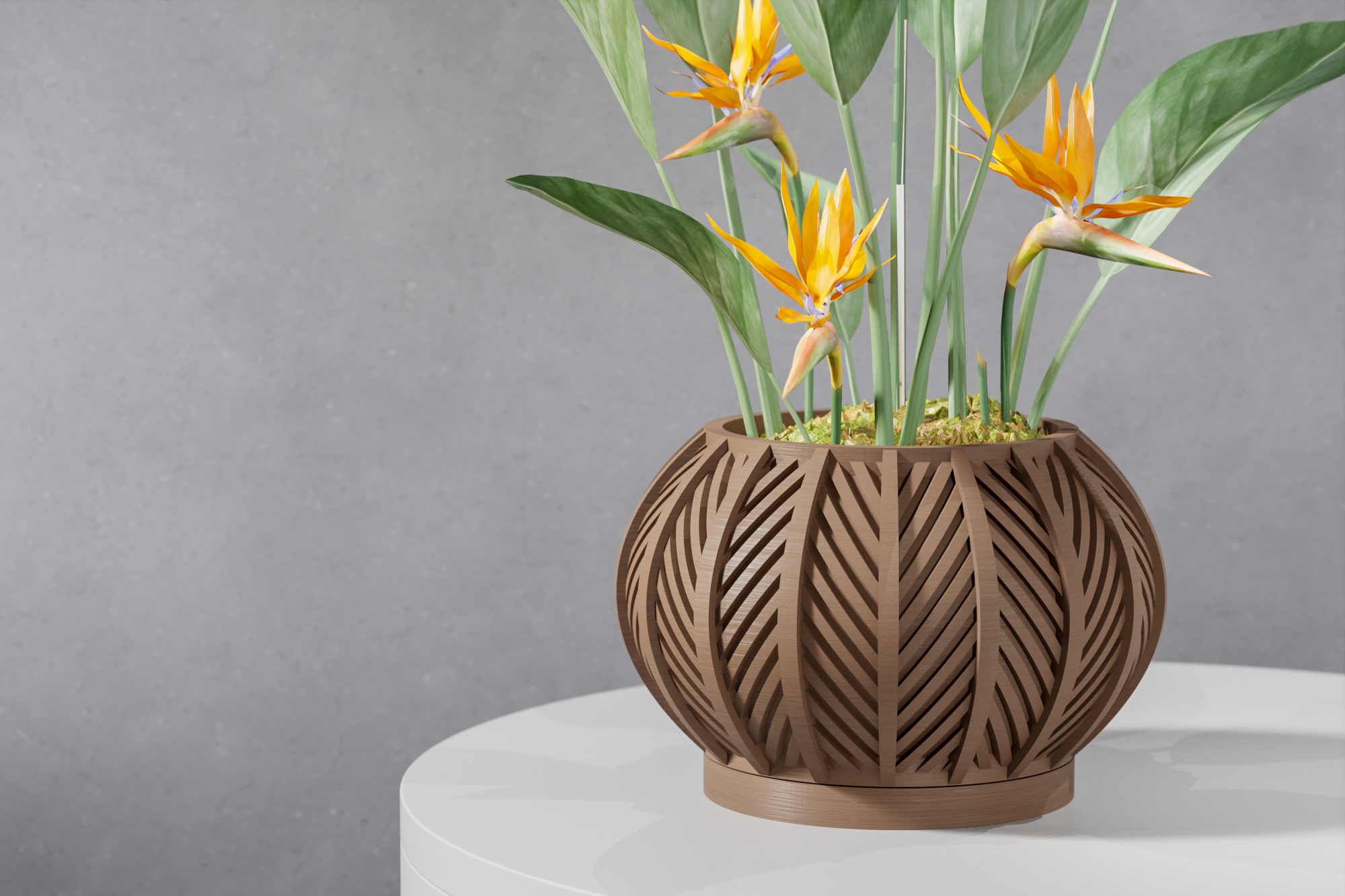 The Lorv Planter