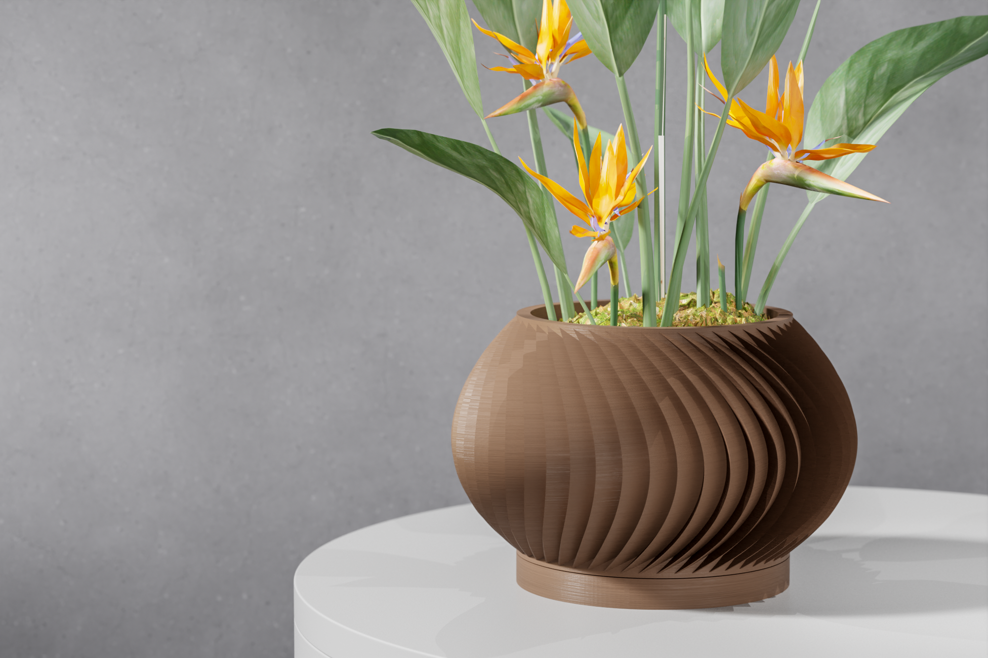 The Vati Planter