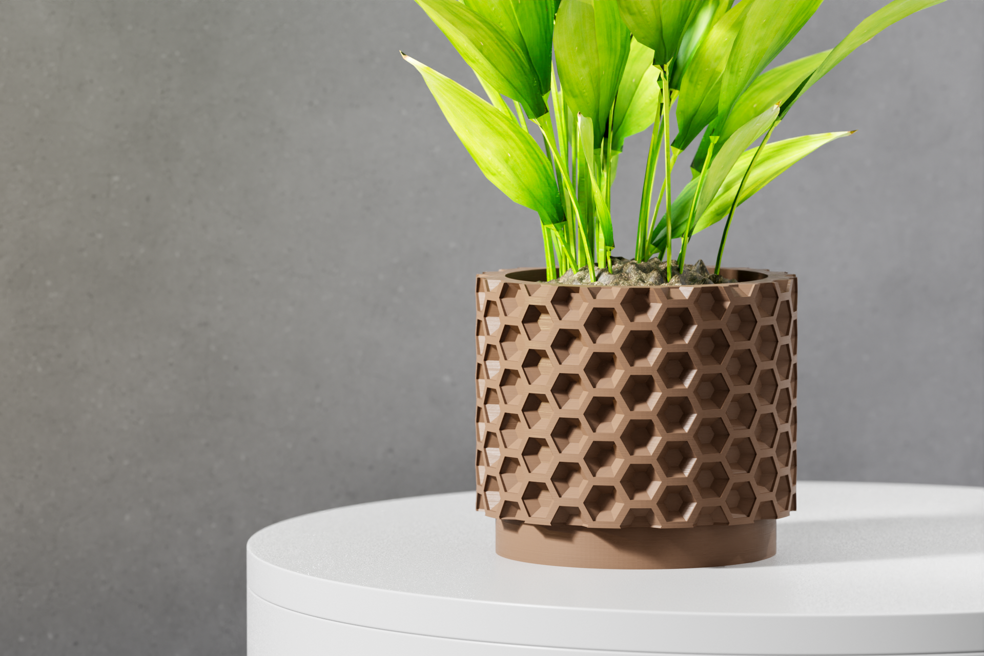 The Armos Planter
