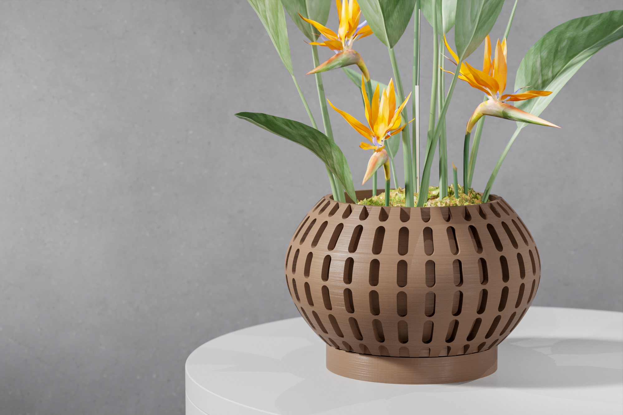 The Xander Planter