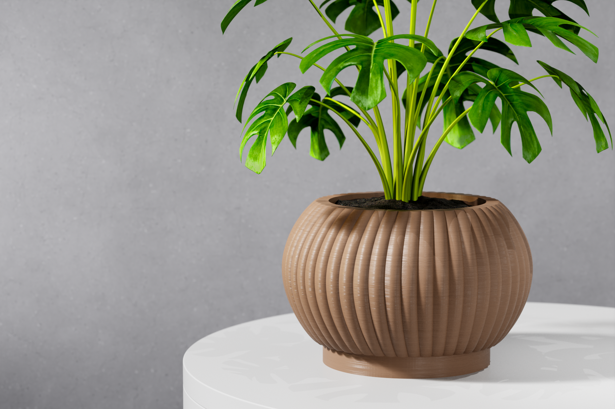 The Roni Planter