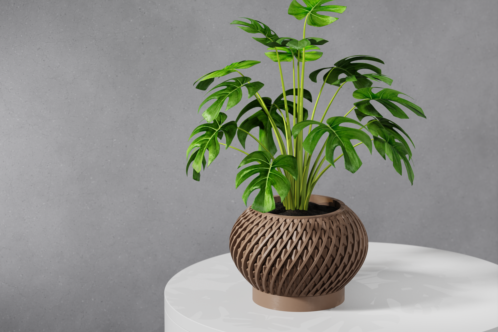 Le Kio Planter