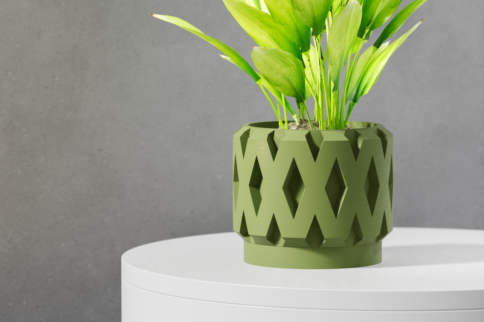 Le Rano Planter