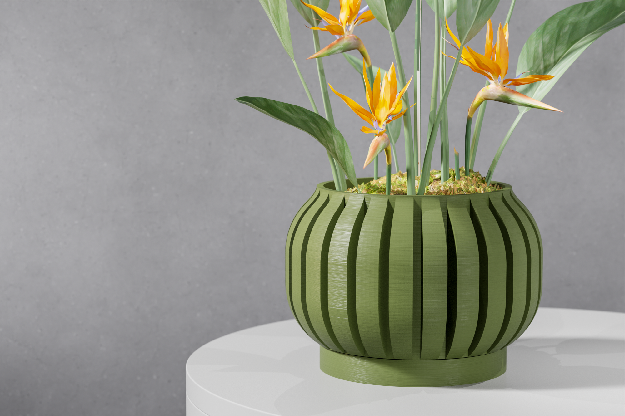 The Juse Planter
