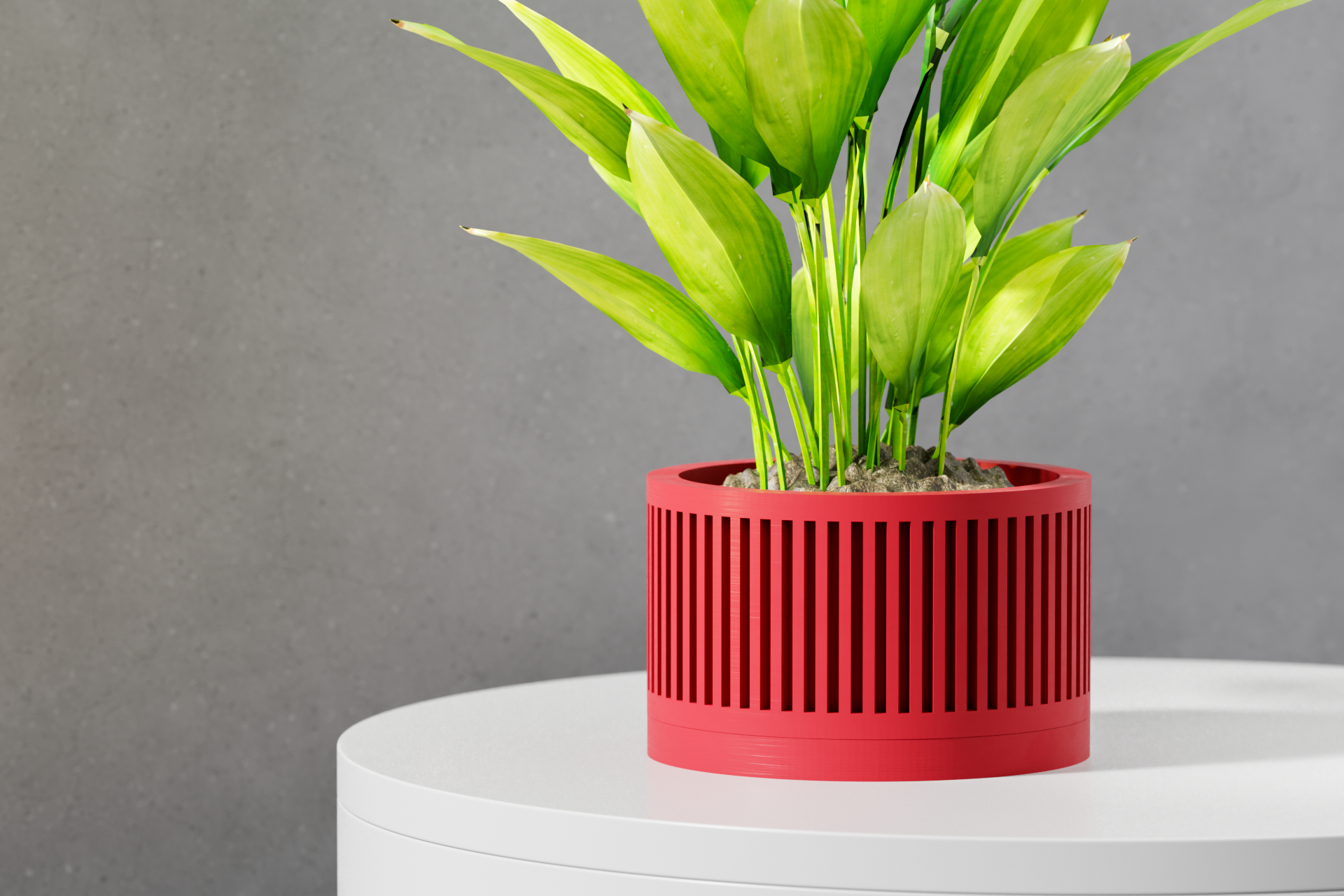 The Paxon Planter
