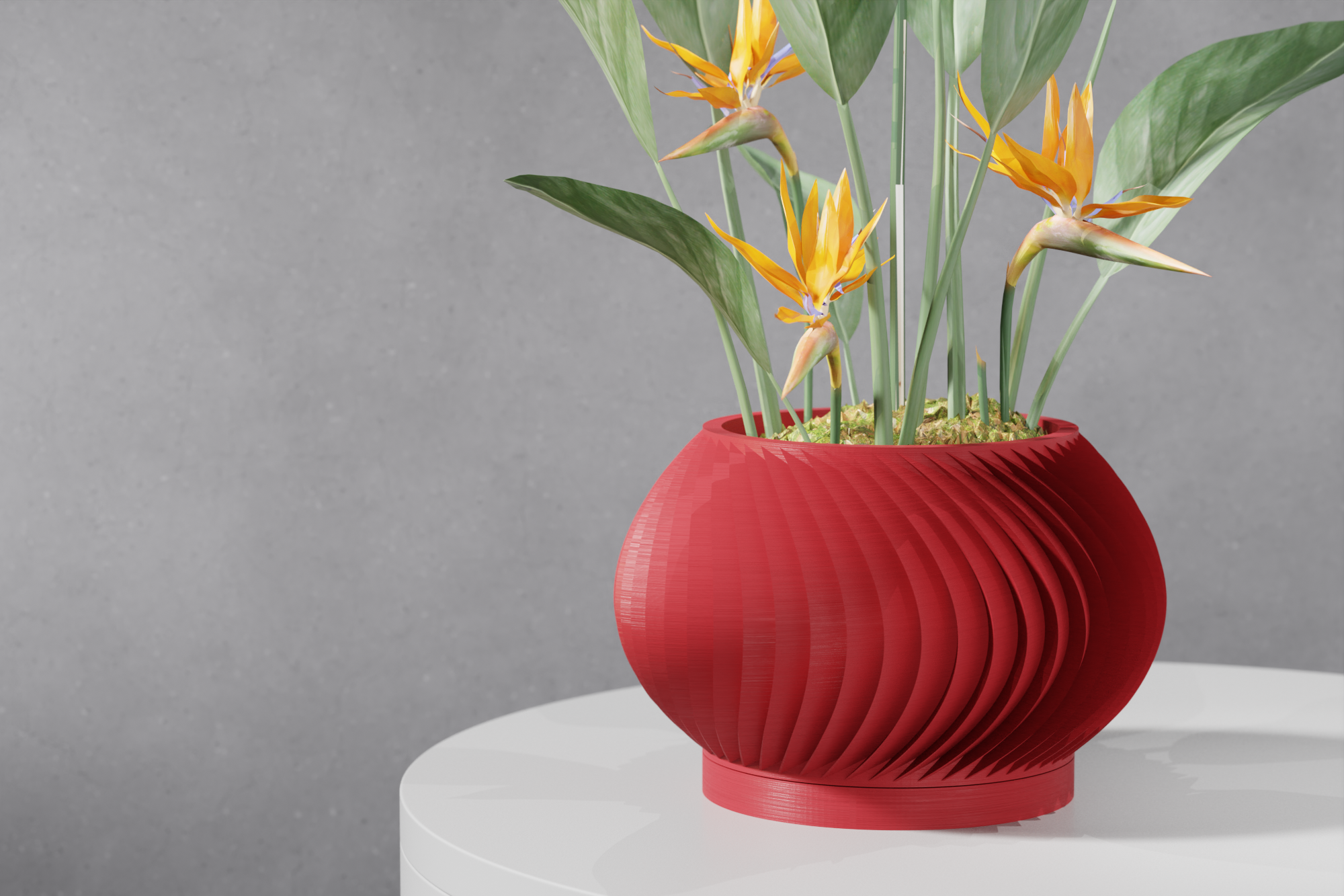 The Vati Planter