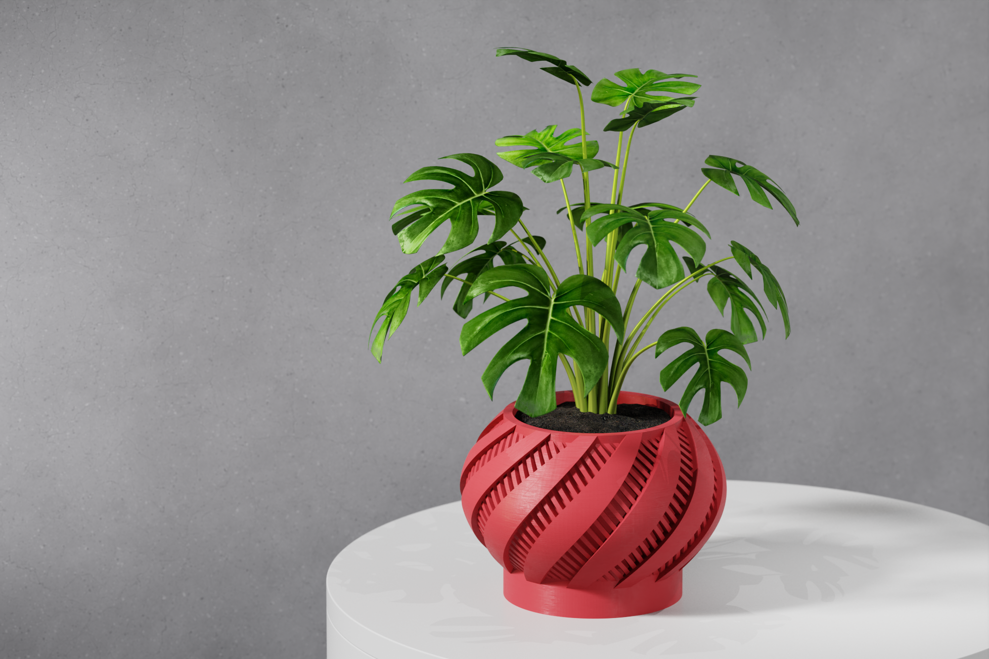Le jardinier Krato