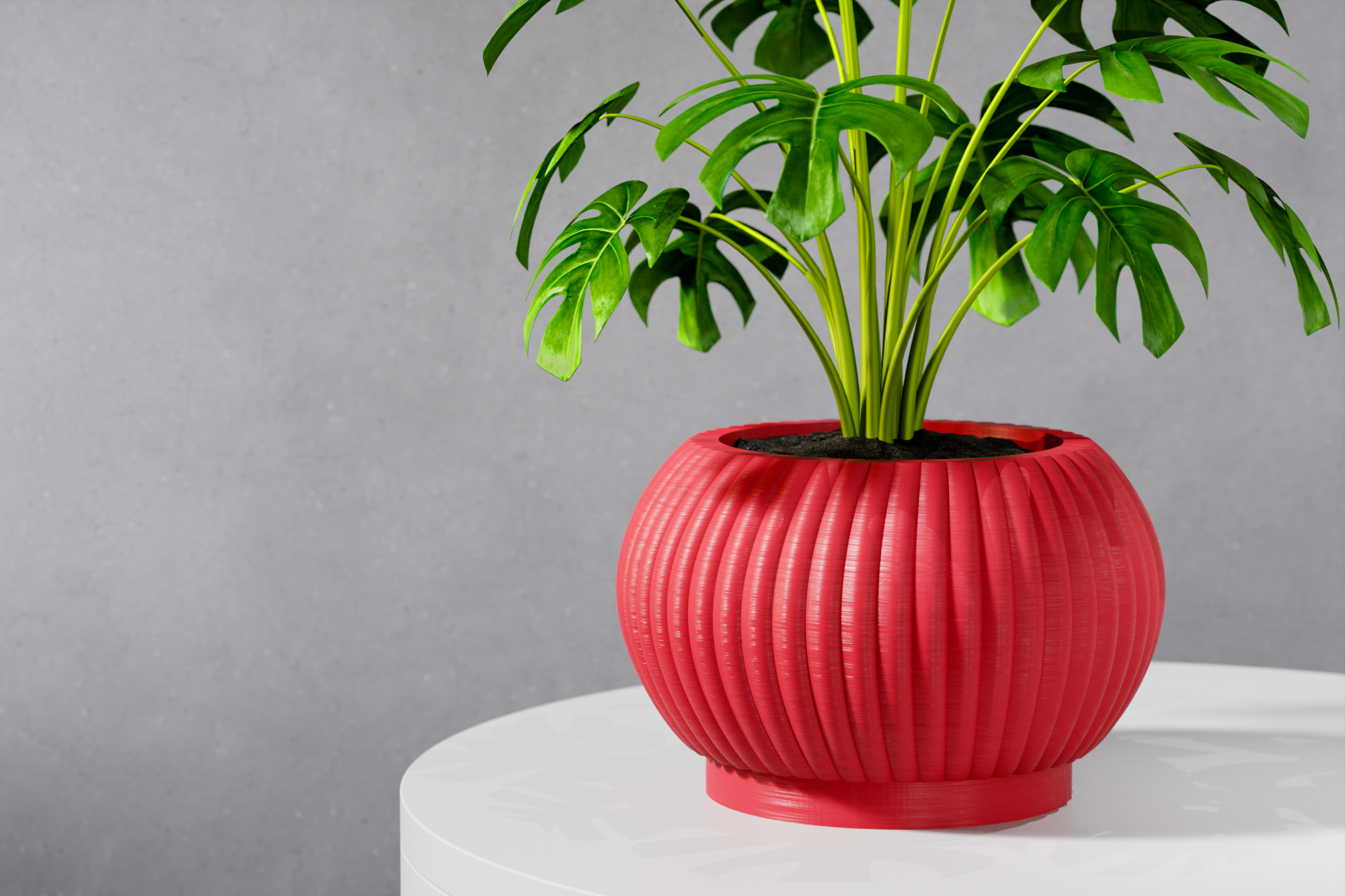 The Roni Planter
