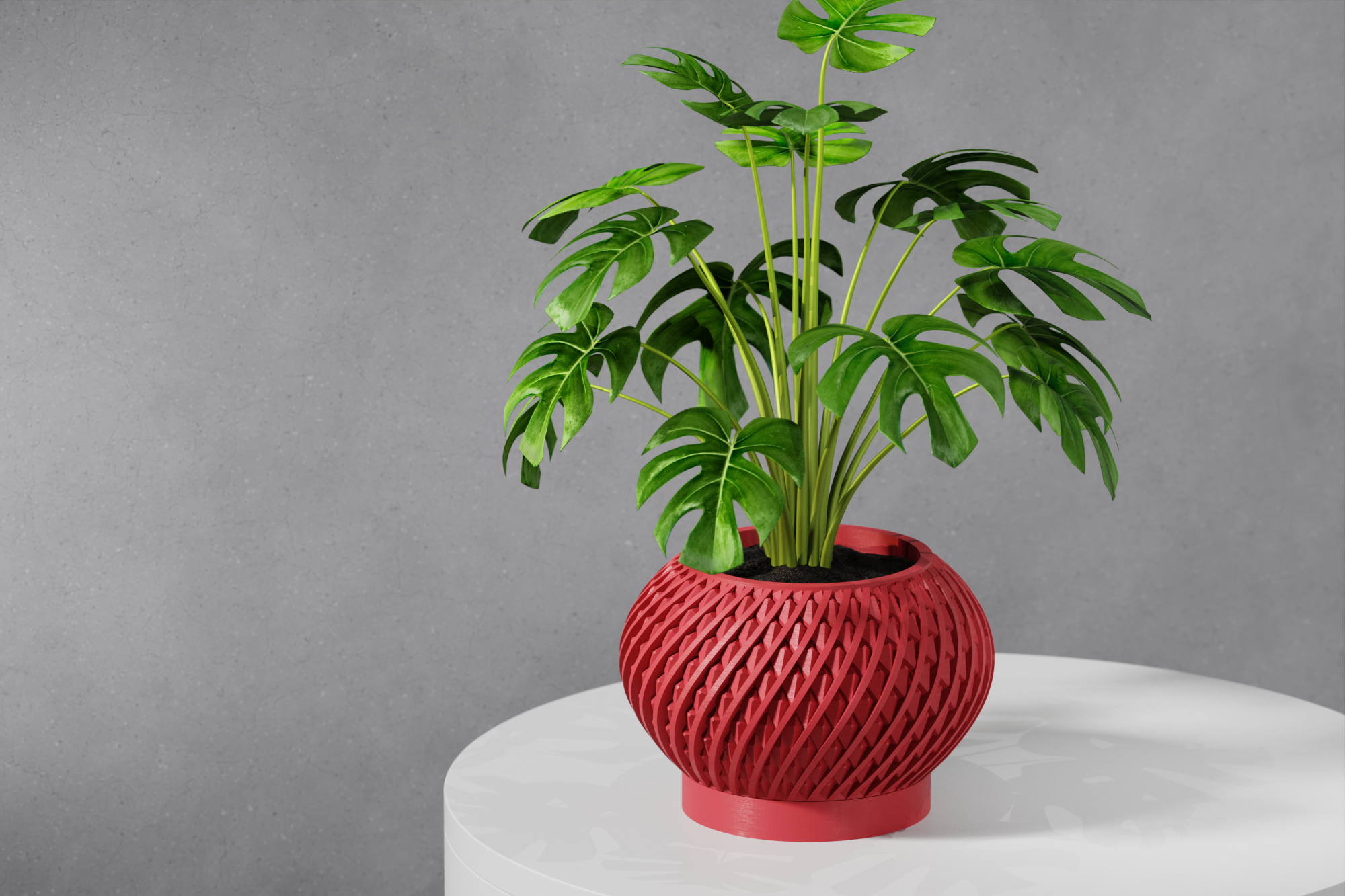 Le Kio Planter