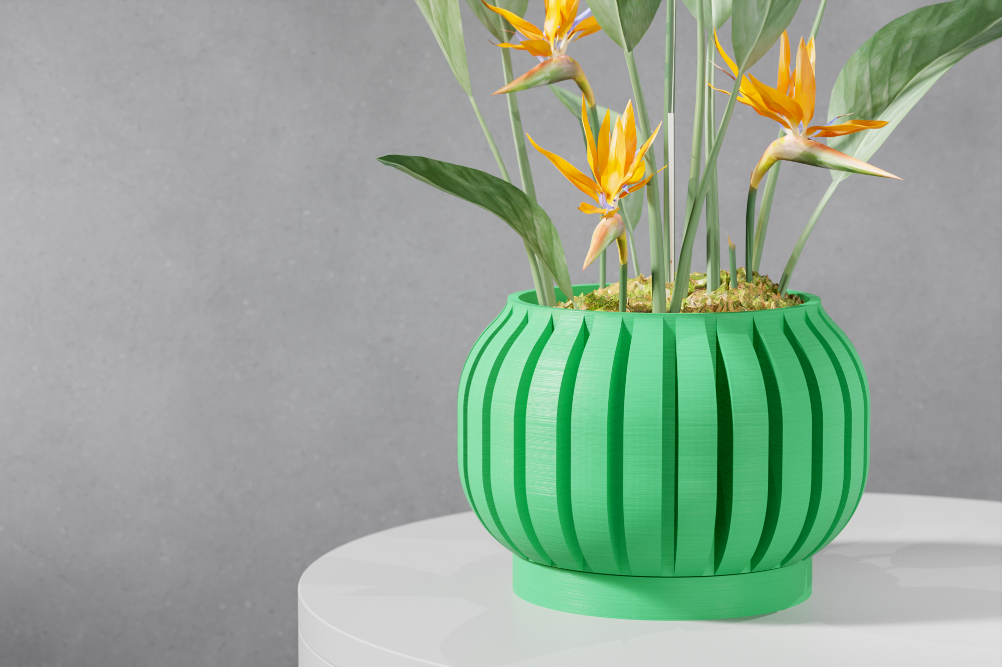 The Juse Planter