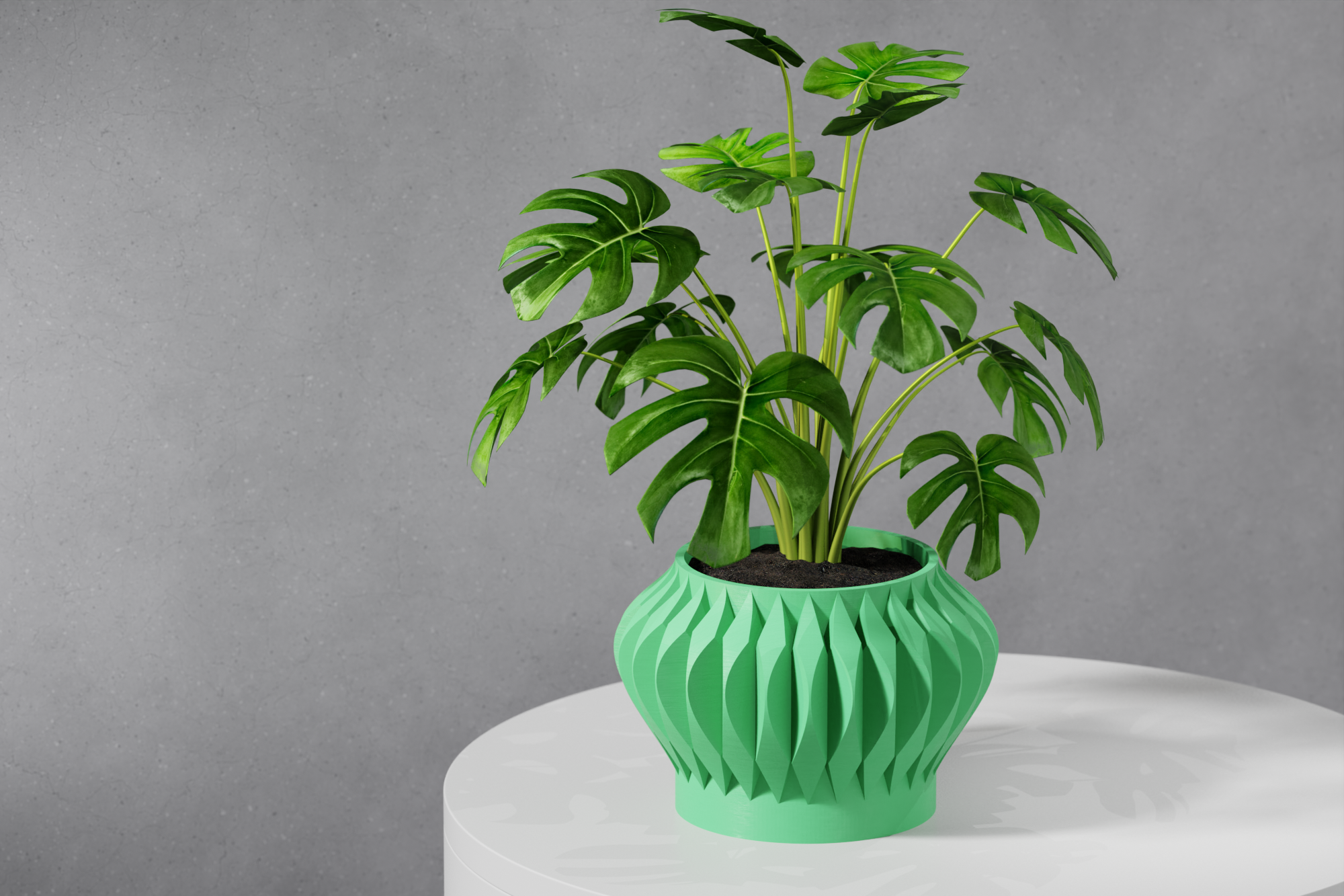 Le Sevi Planter