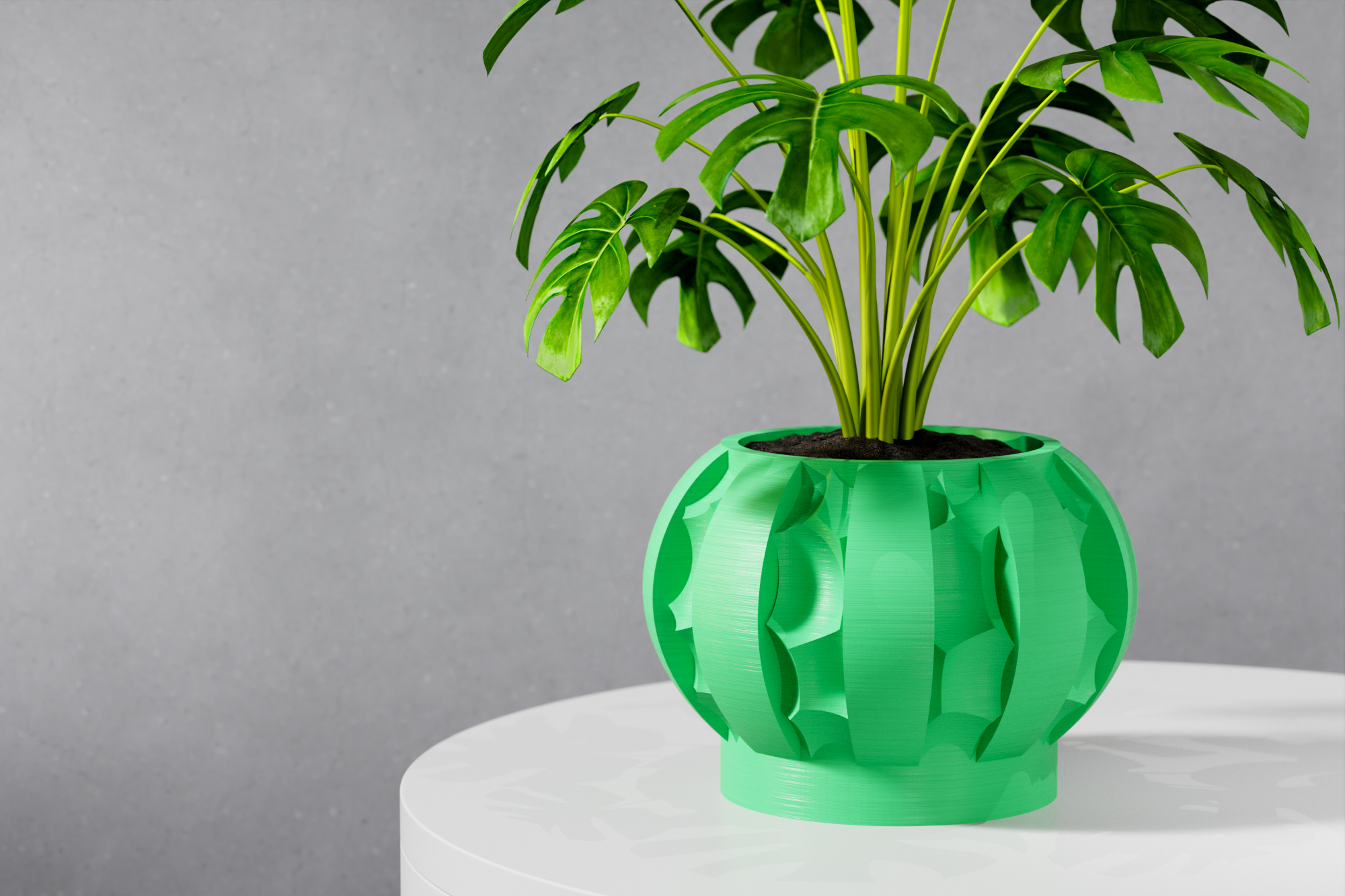 The Erna Planter