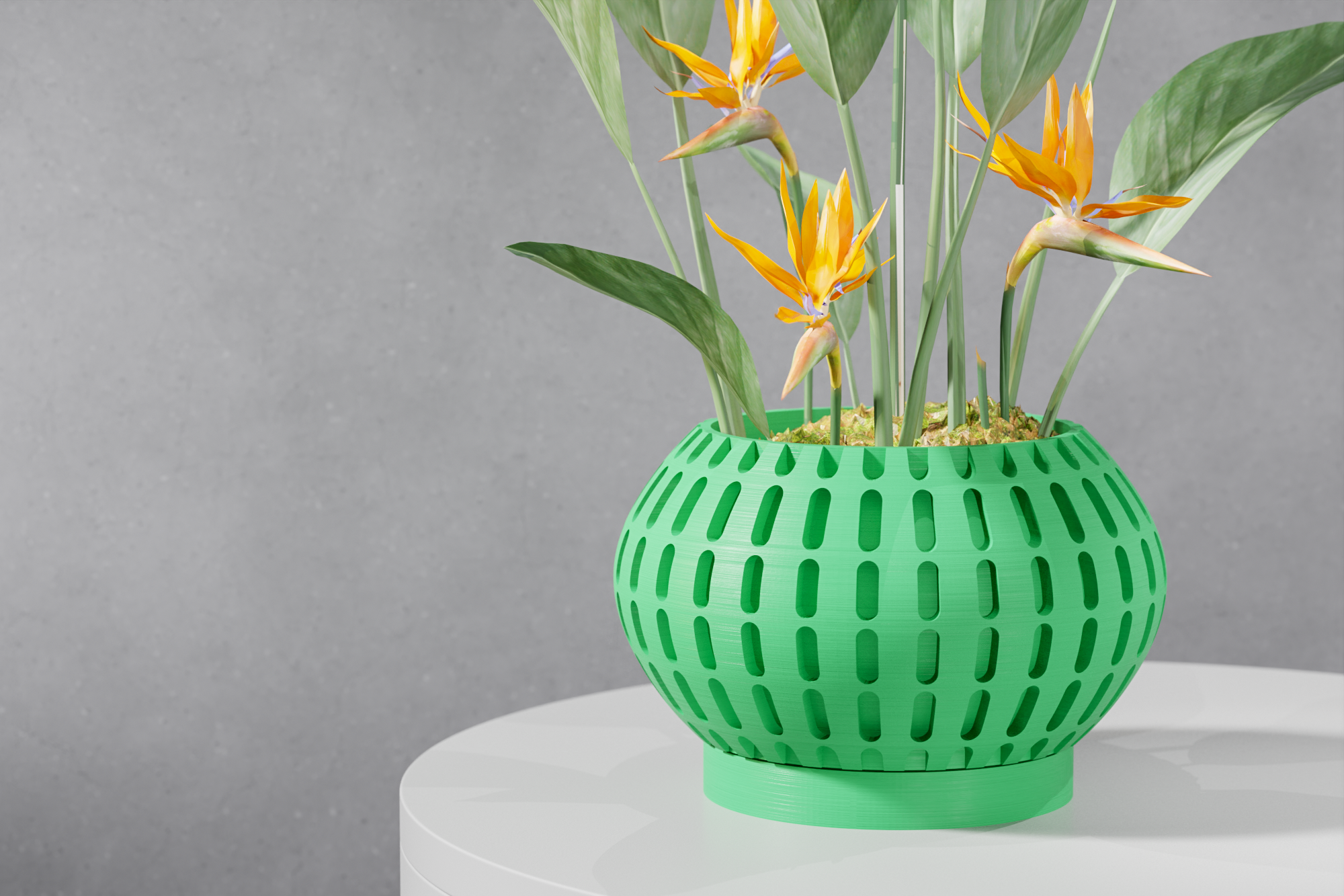 The Xander Planter
