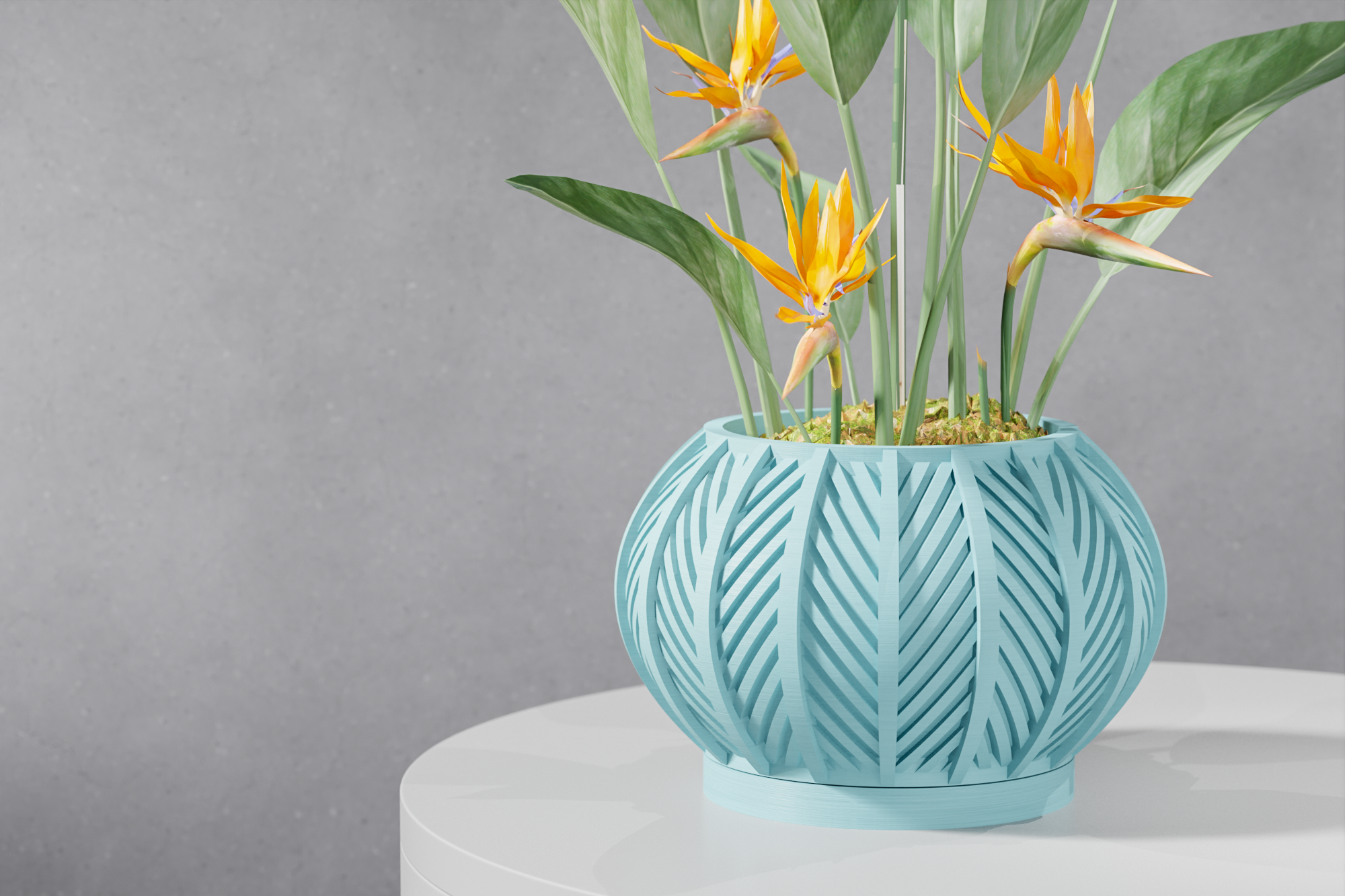 The Lorv Planter