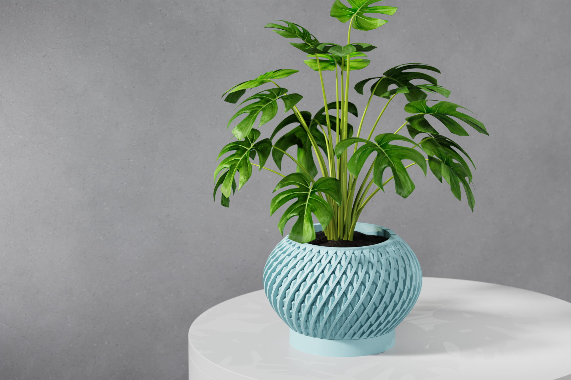 Le Kio Planter