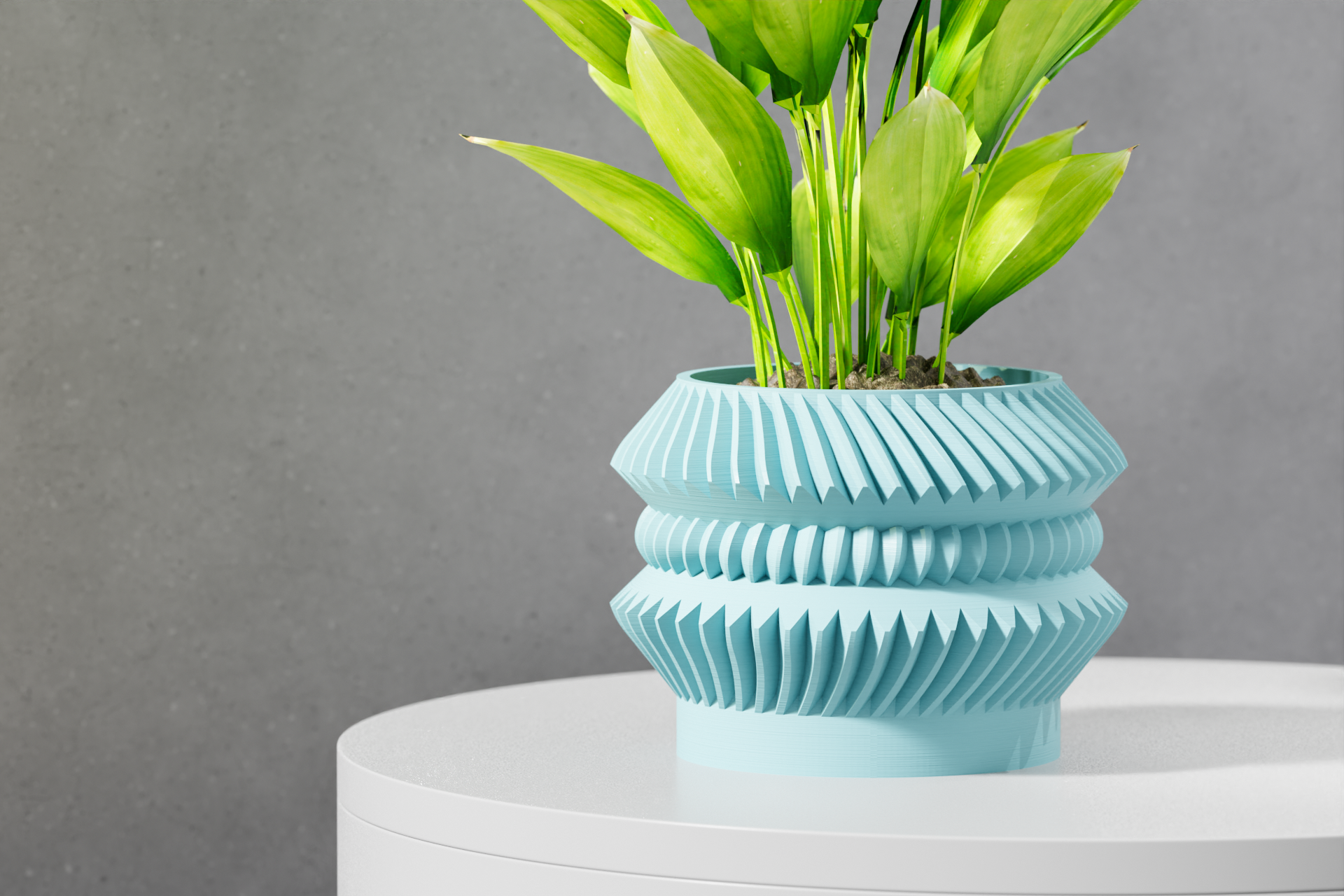 Le Jako Planter