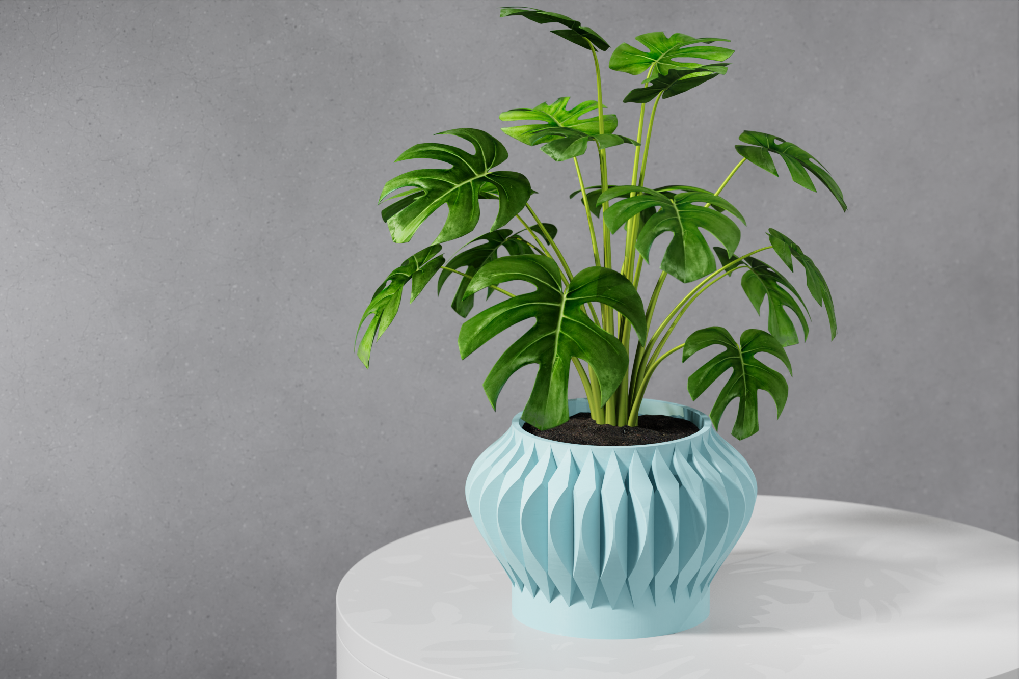 Le Sevi Planter