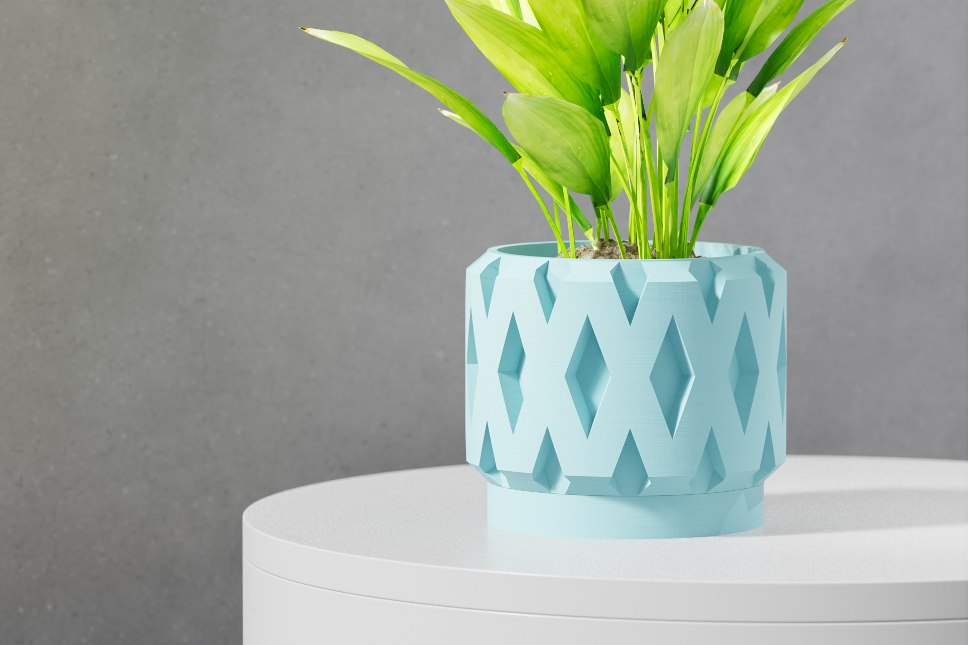 Le Rano Planter