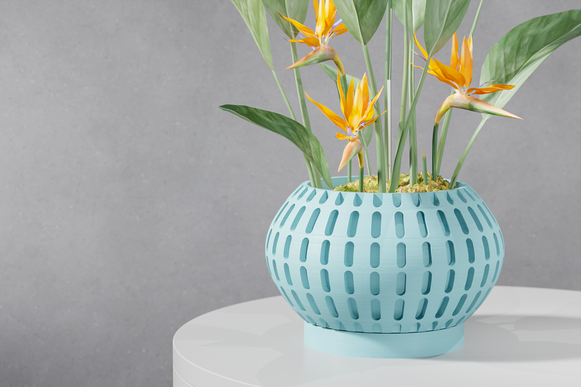The Xander Planter