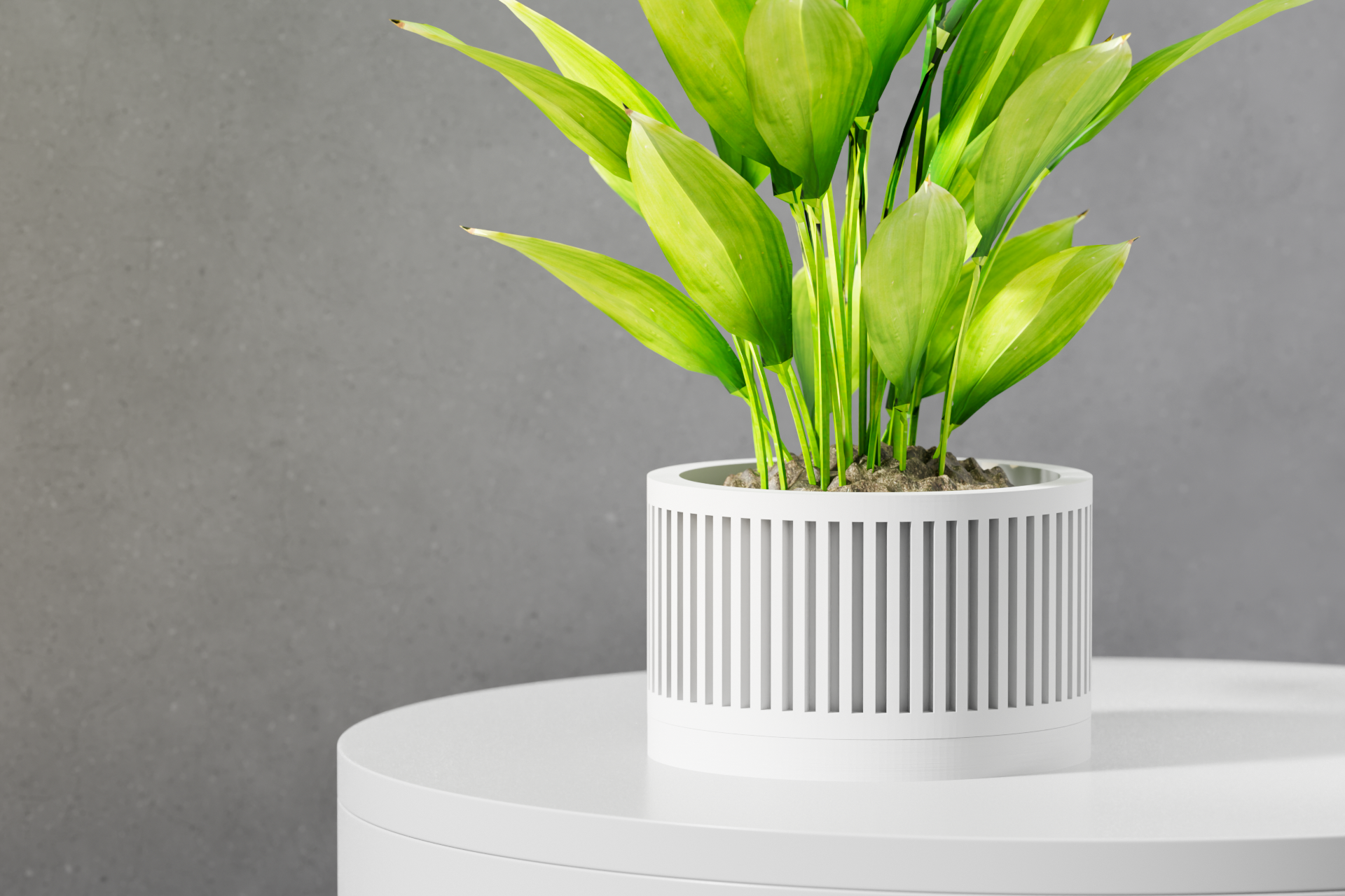 The Paxon Planter