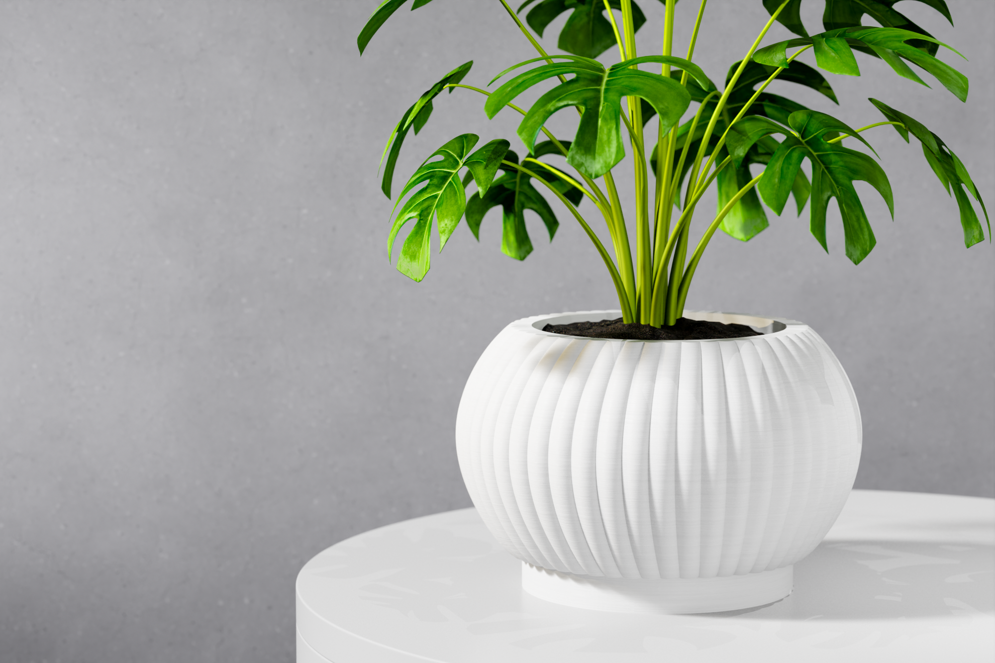 The Roni Planter