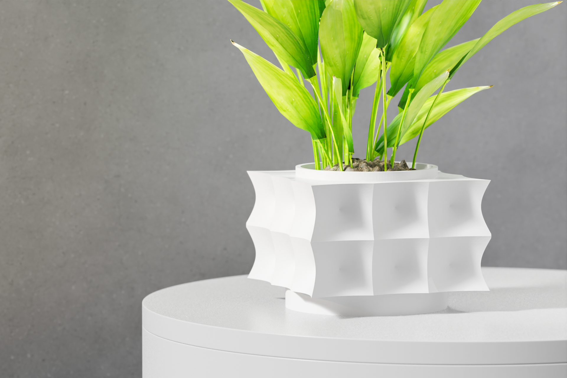 The Averth Planter