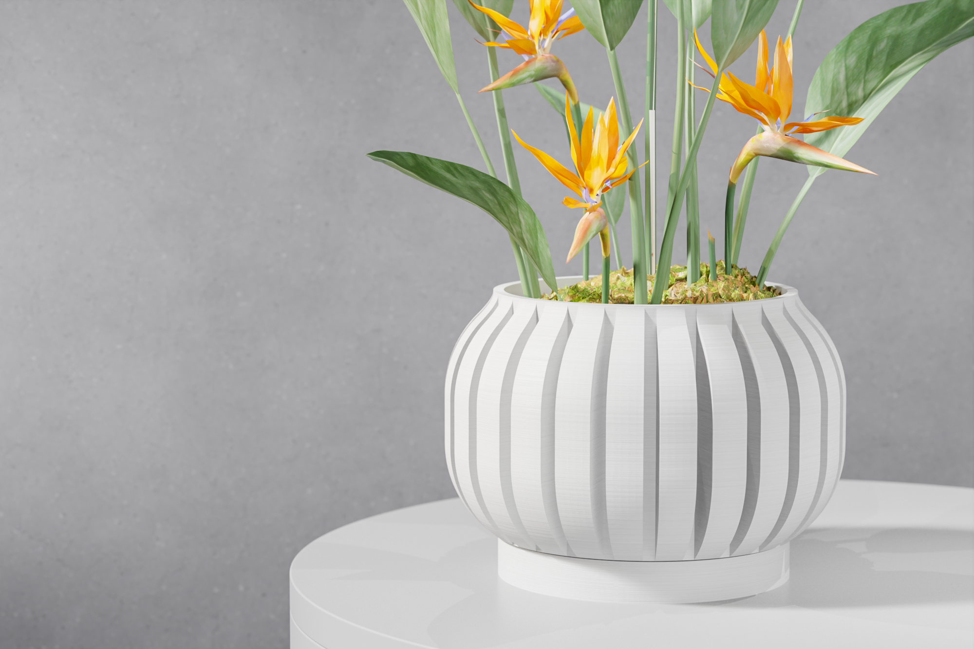 The Juse Planter