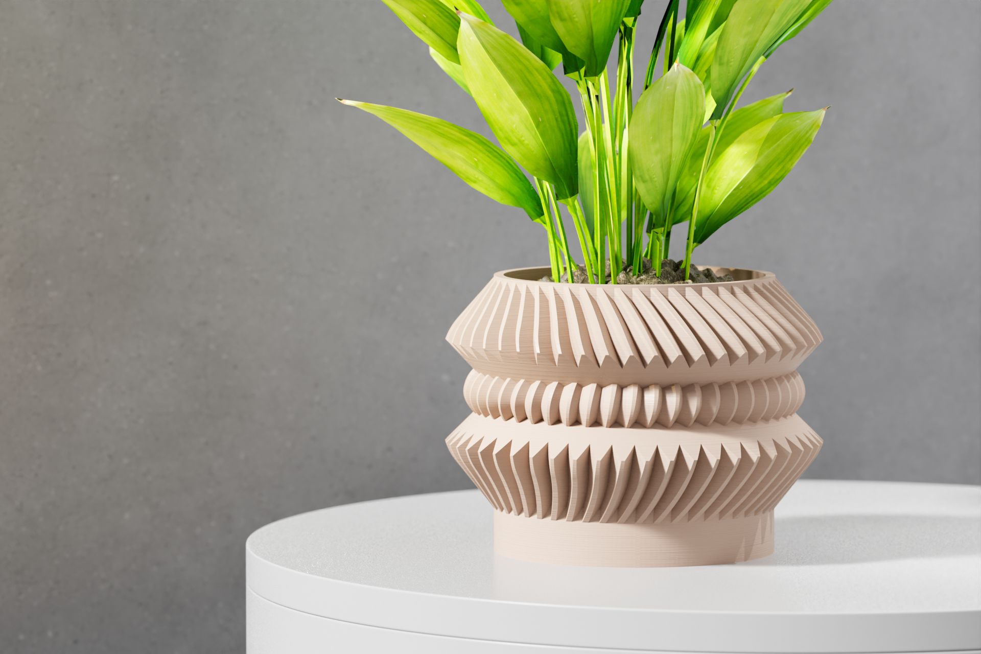 Le Jako Planter