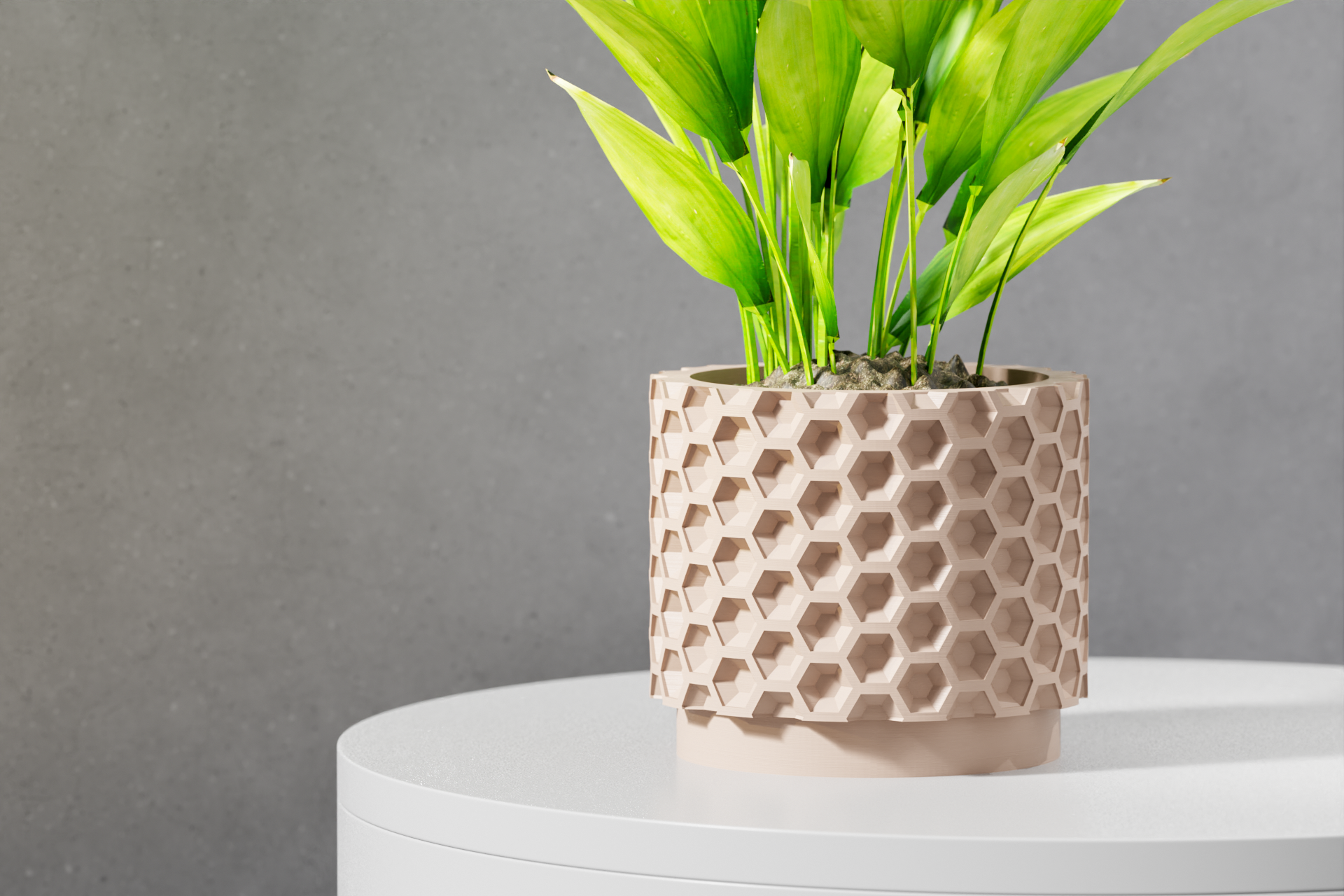The Armos Planter