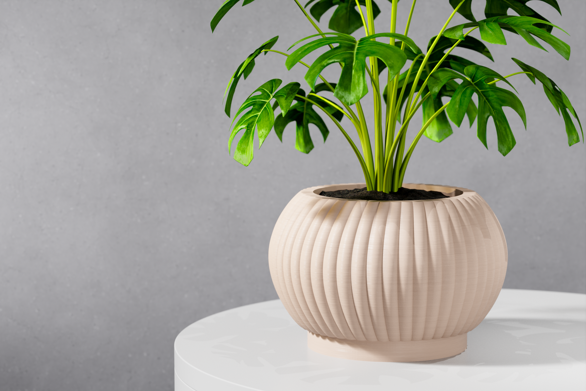 The Roni Planter
