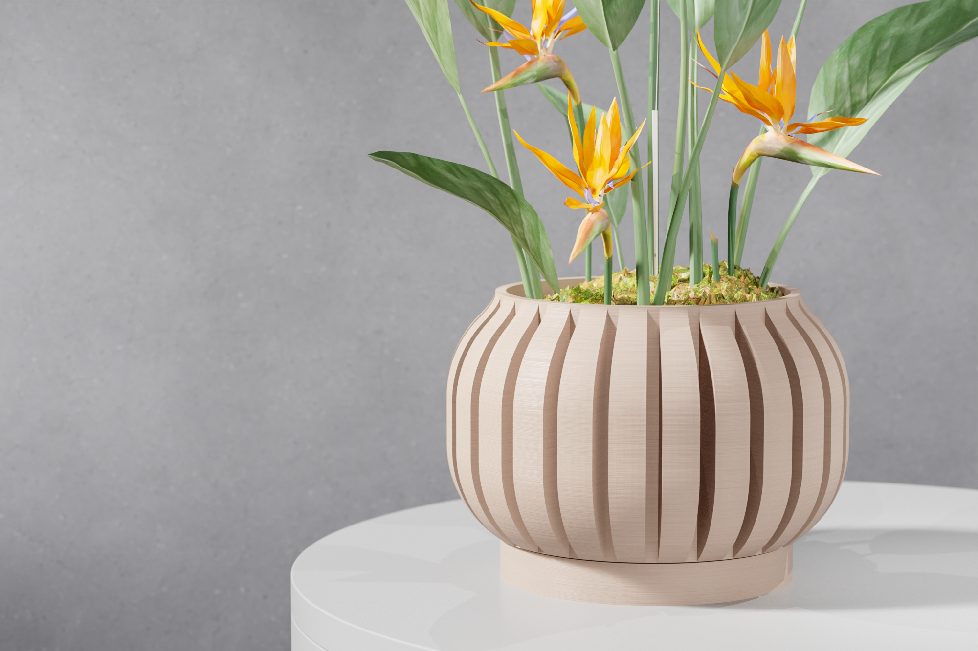 The Juse Planter