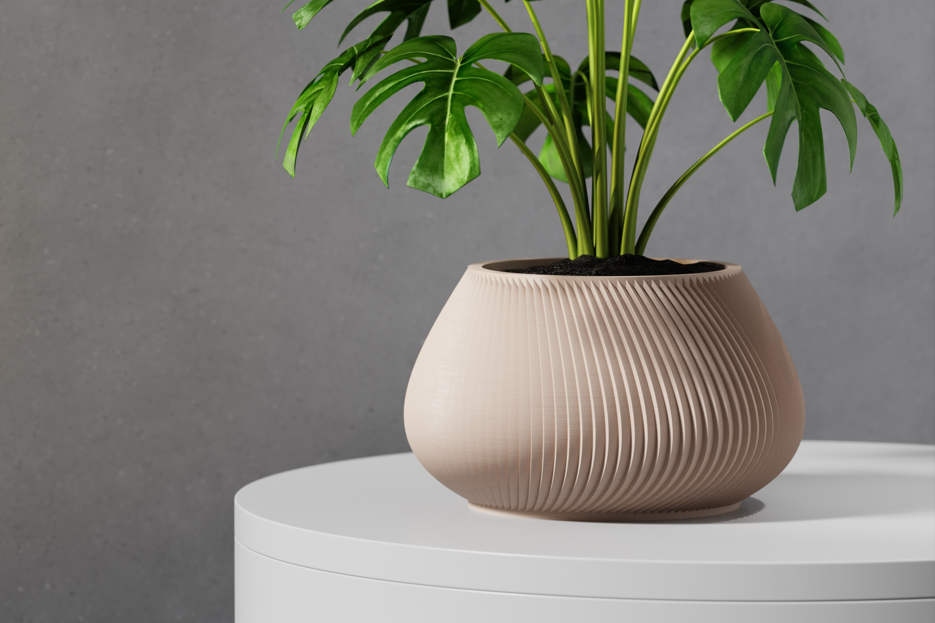 The Davi Planter