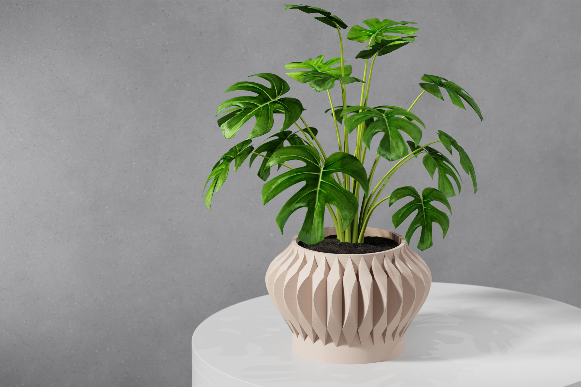 Le Sevi Planter