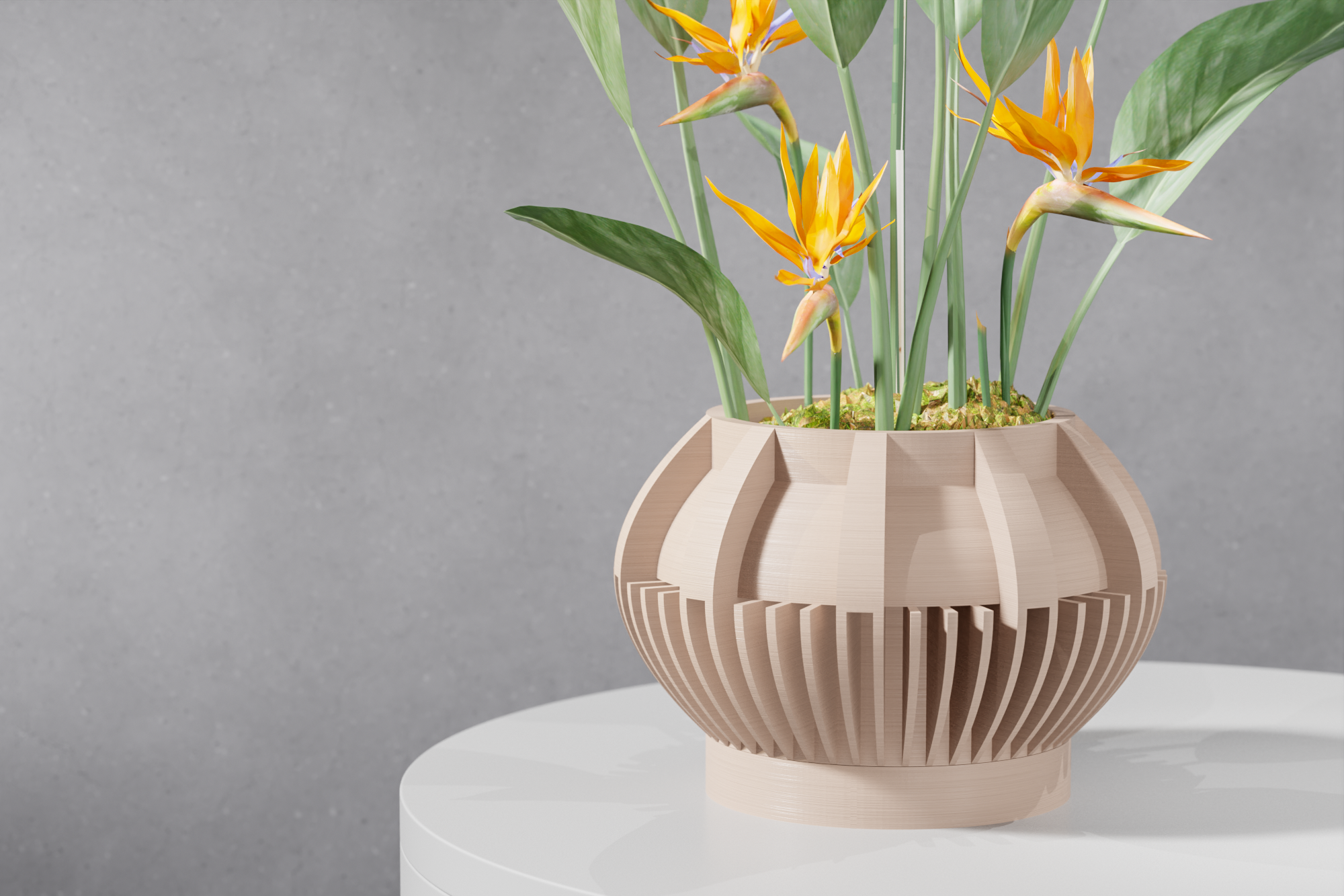 Le Loso Planter