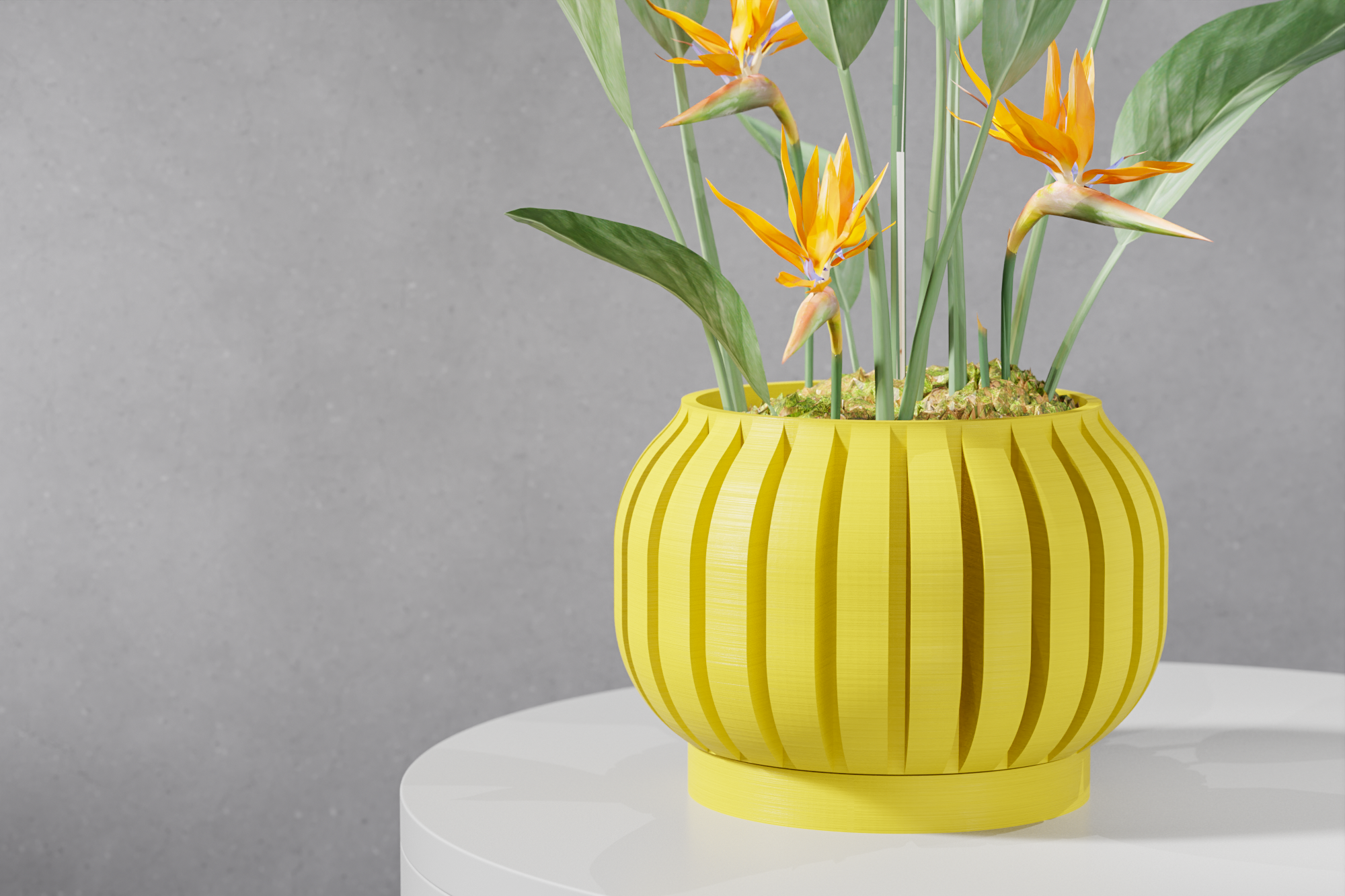 The Juse Planter