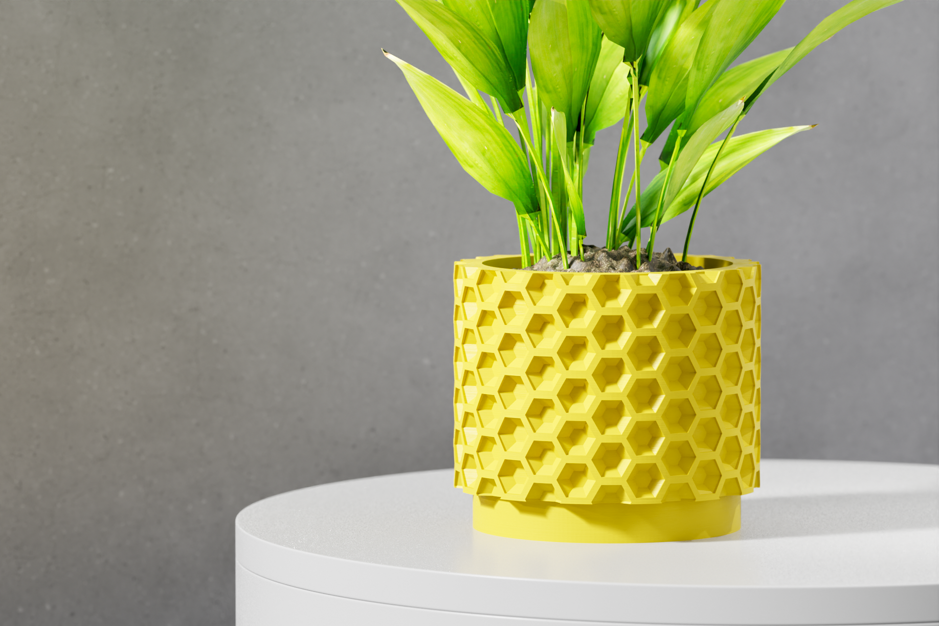 The Armos Planter