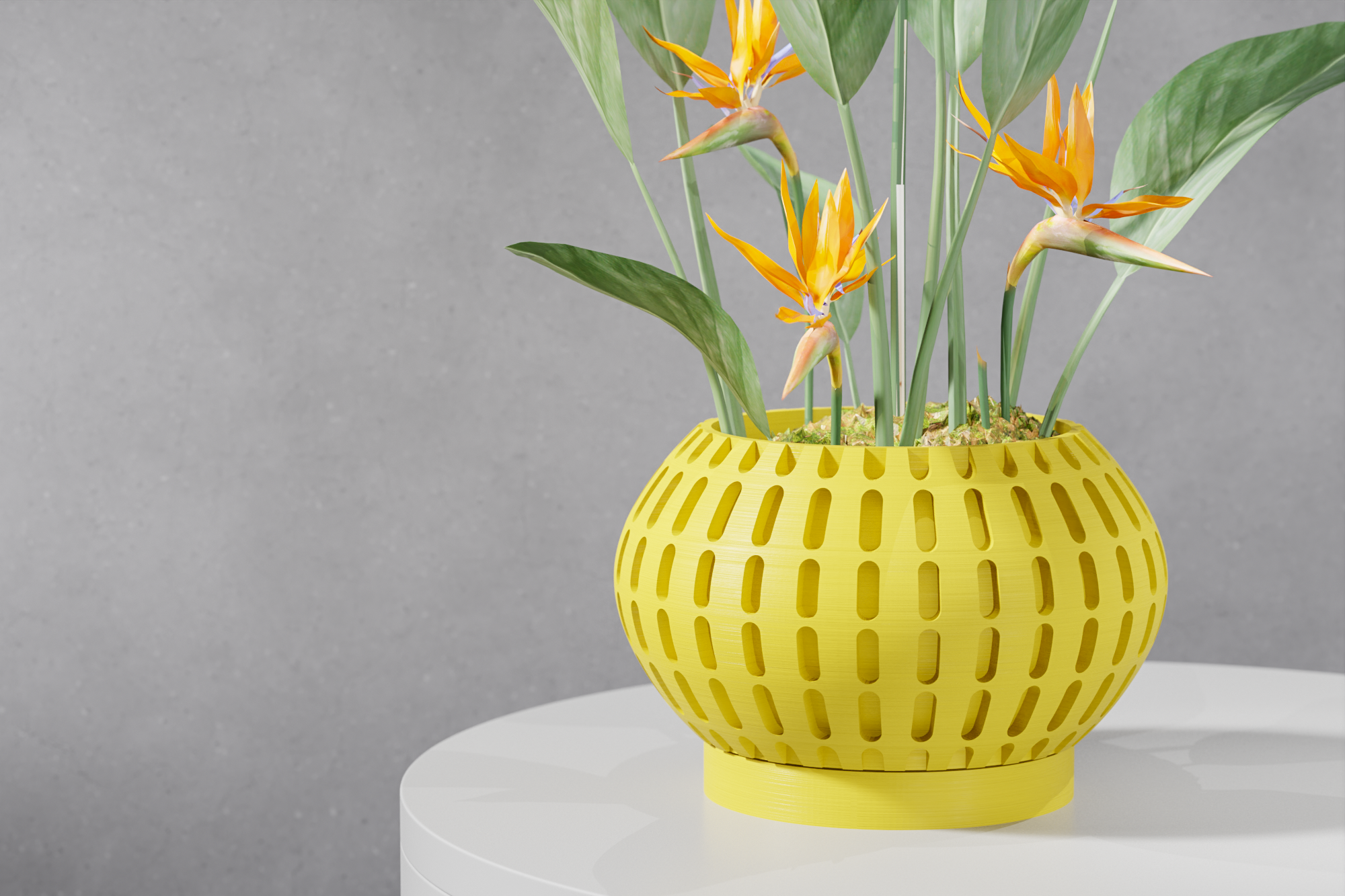 The Xander Planter