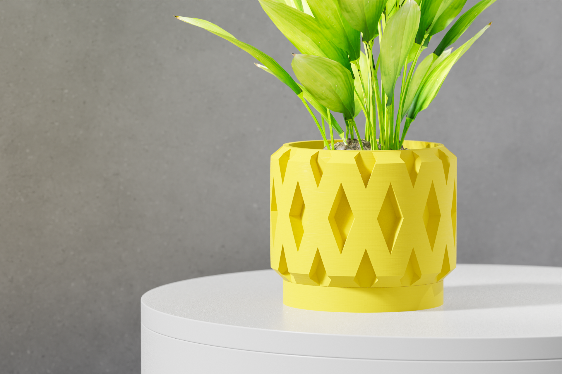 Le Rano Planter