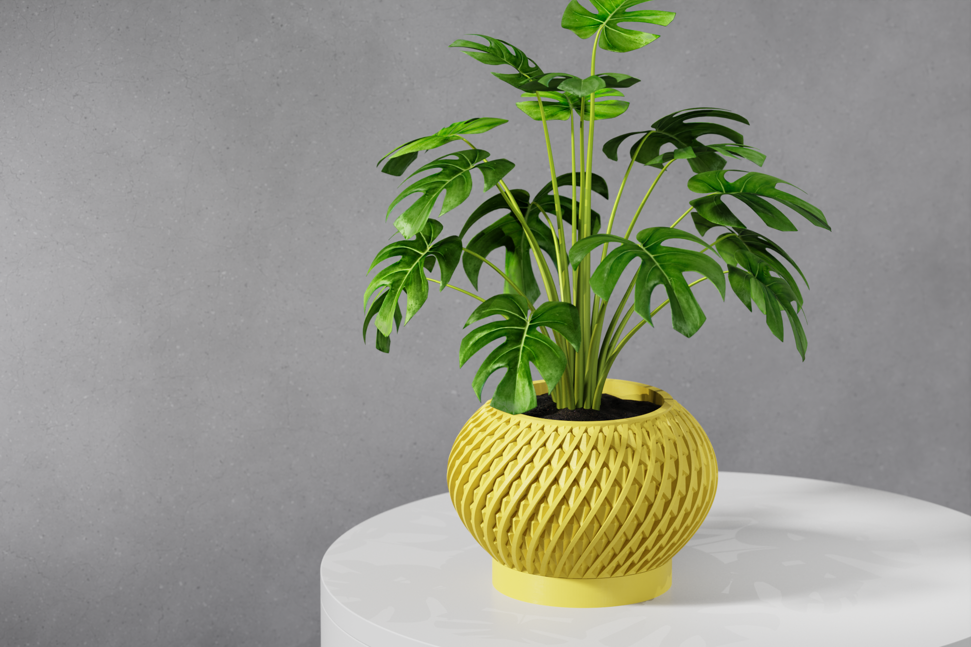 Le Kio Planter