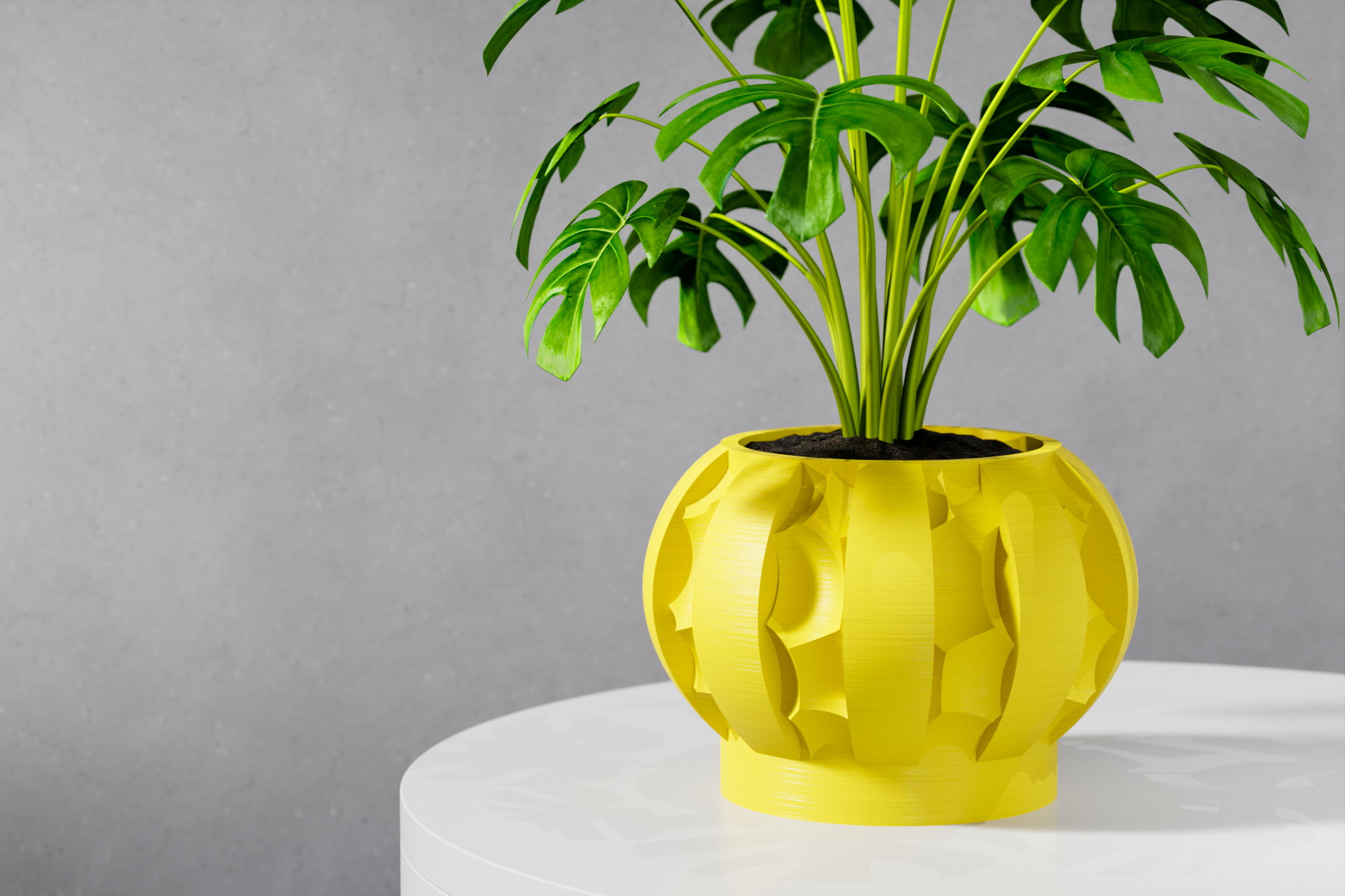 The Erna Planter