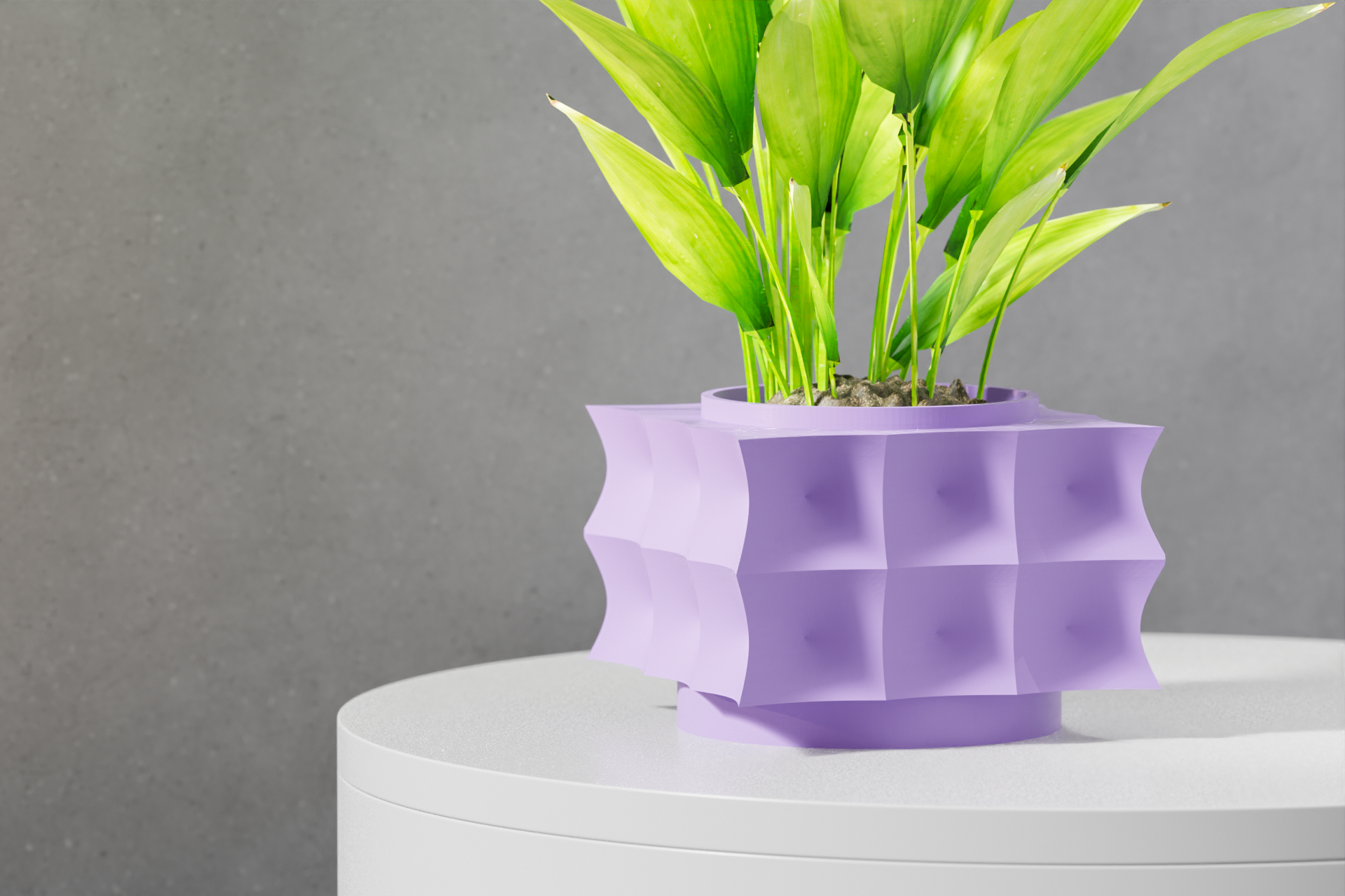 The Averth Planter