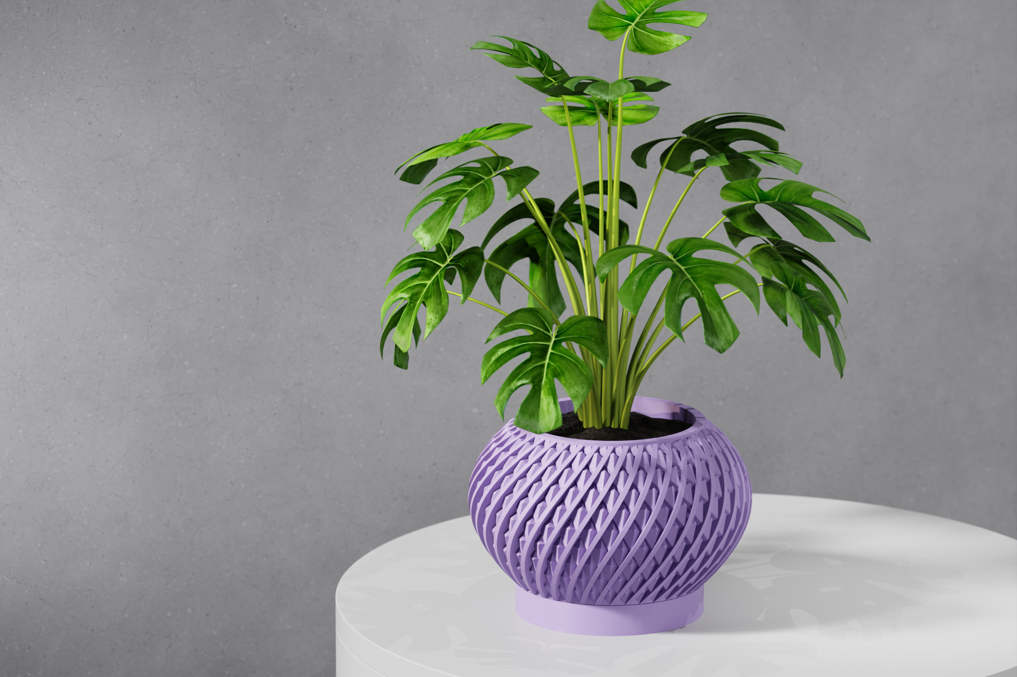 Le Kio Planter