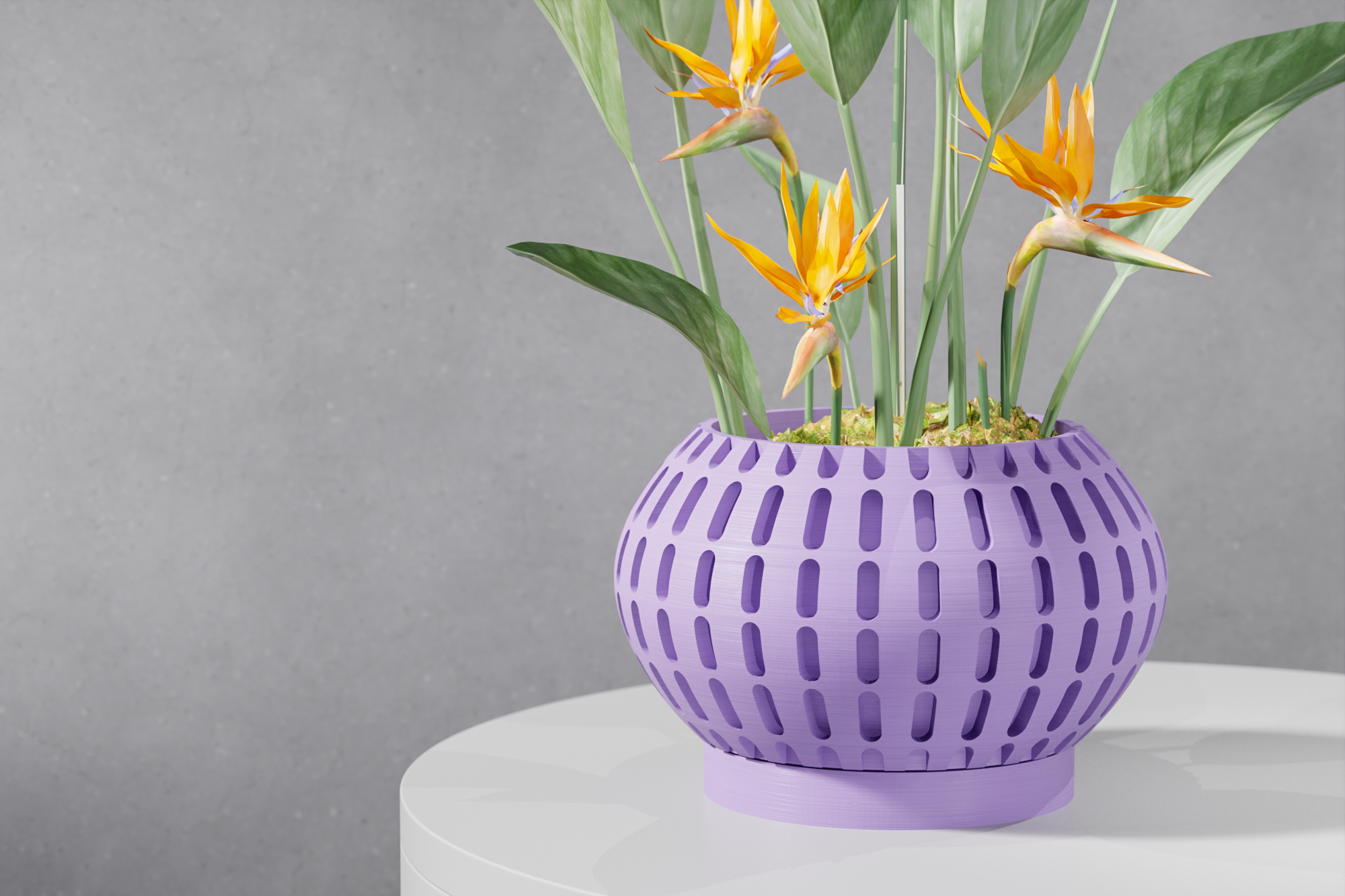 The Xander Planter