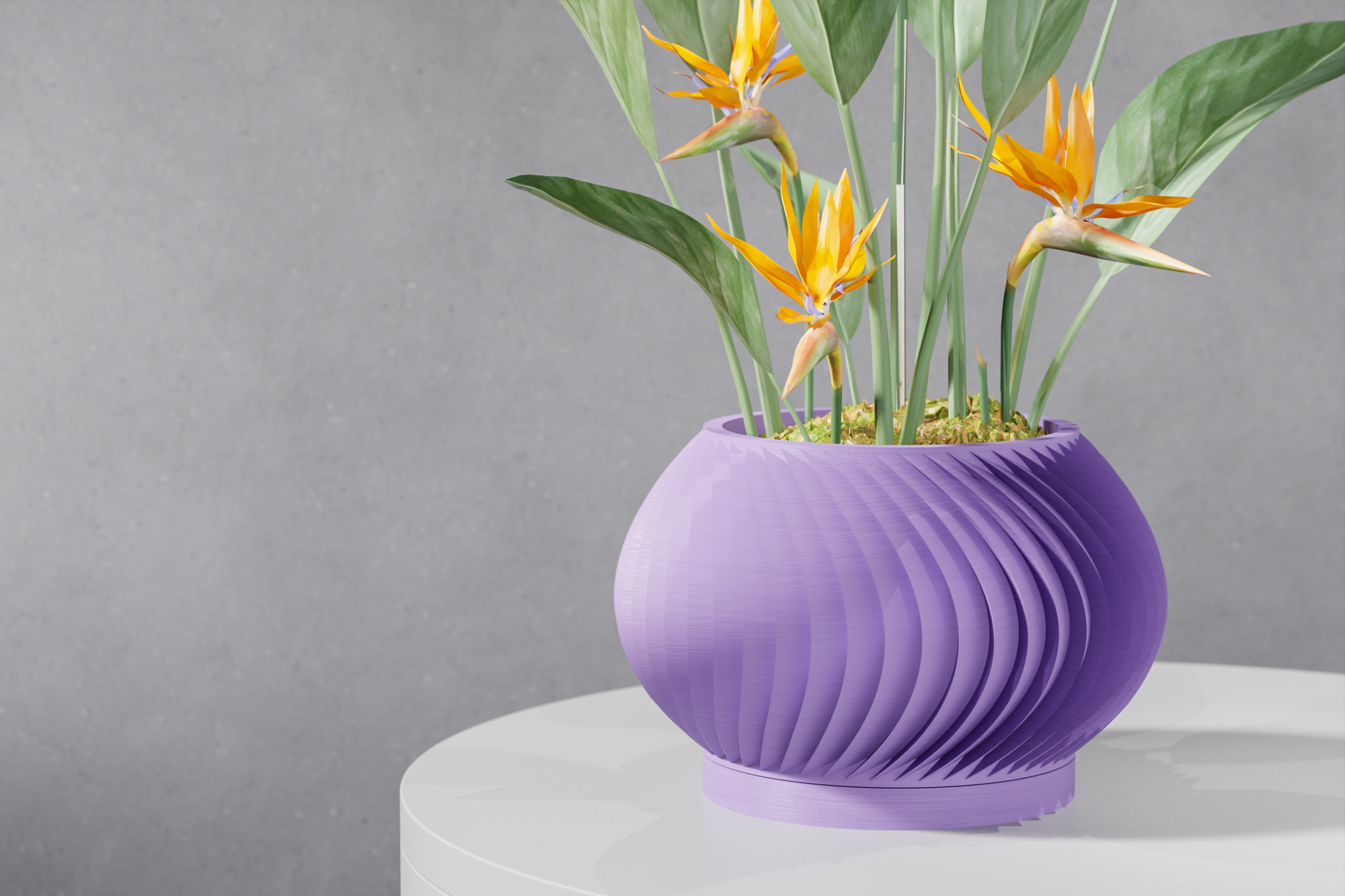 The Vati Planter