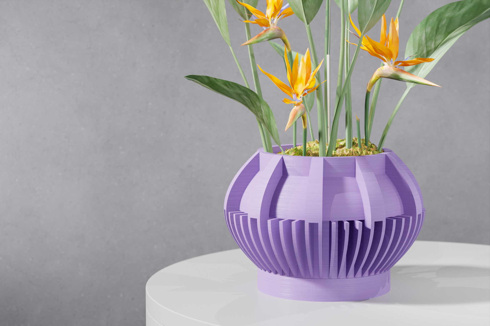 Le Loso Planter